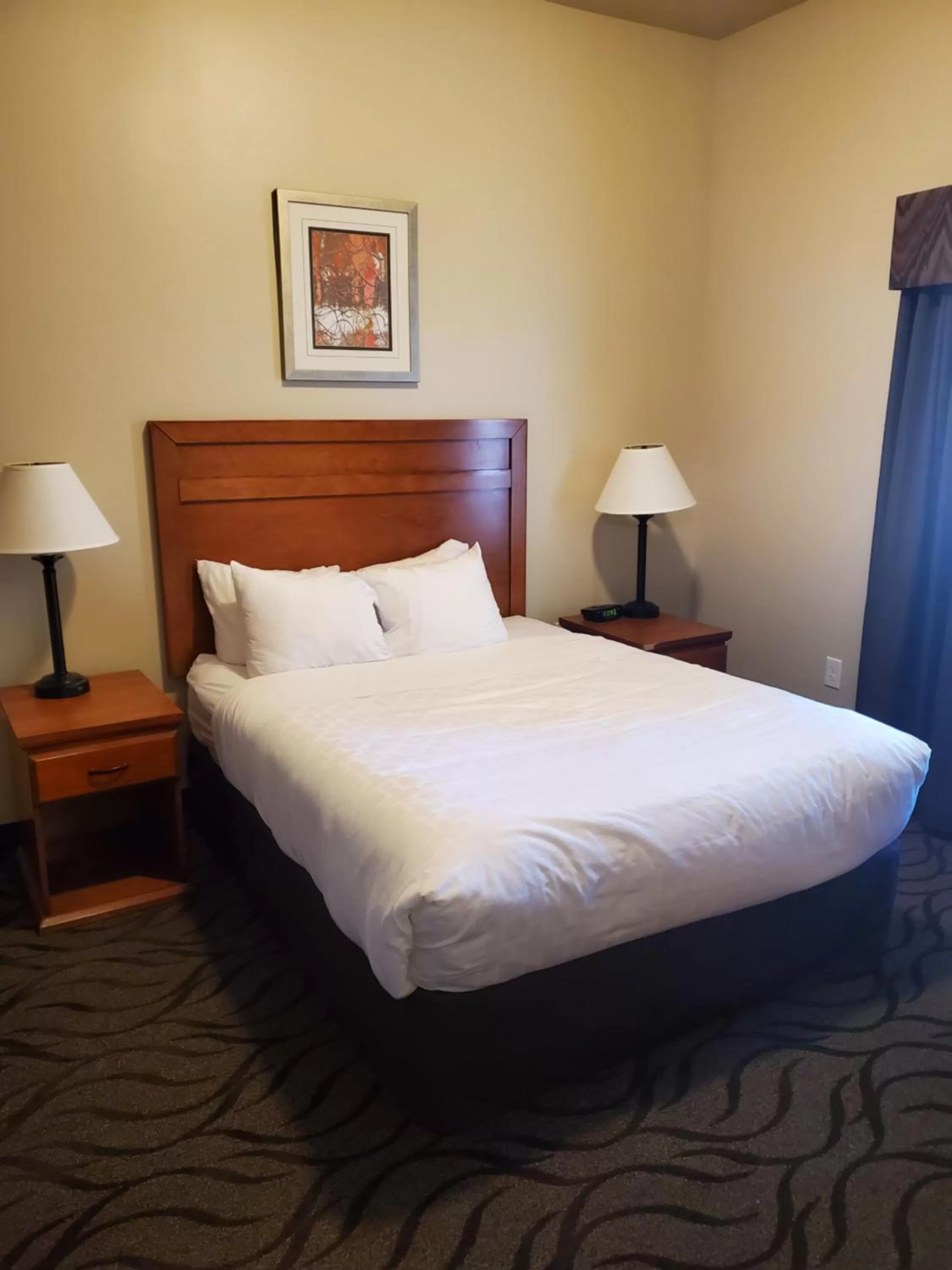 Superior Queen Suite - Accessible/Non-Smoking in Clarion Hotel & Suites Near Pioneer Power Generating Station