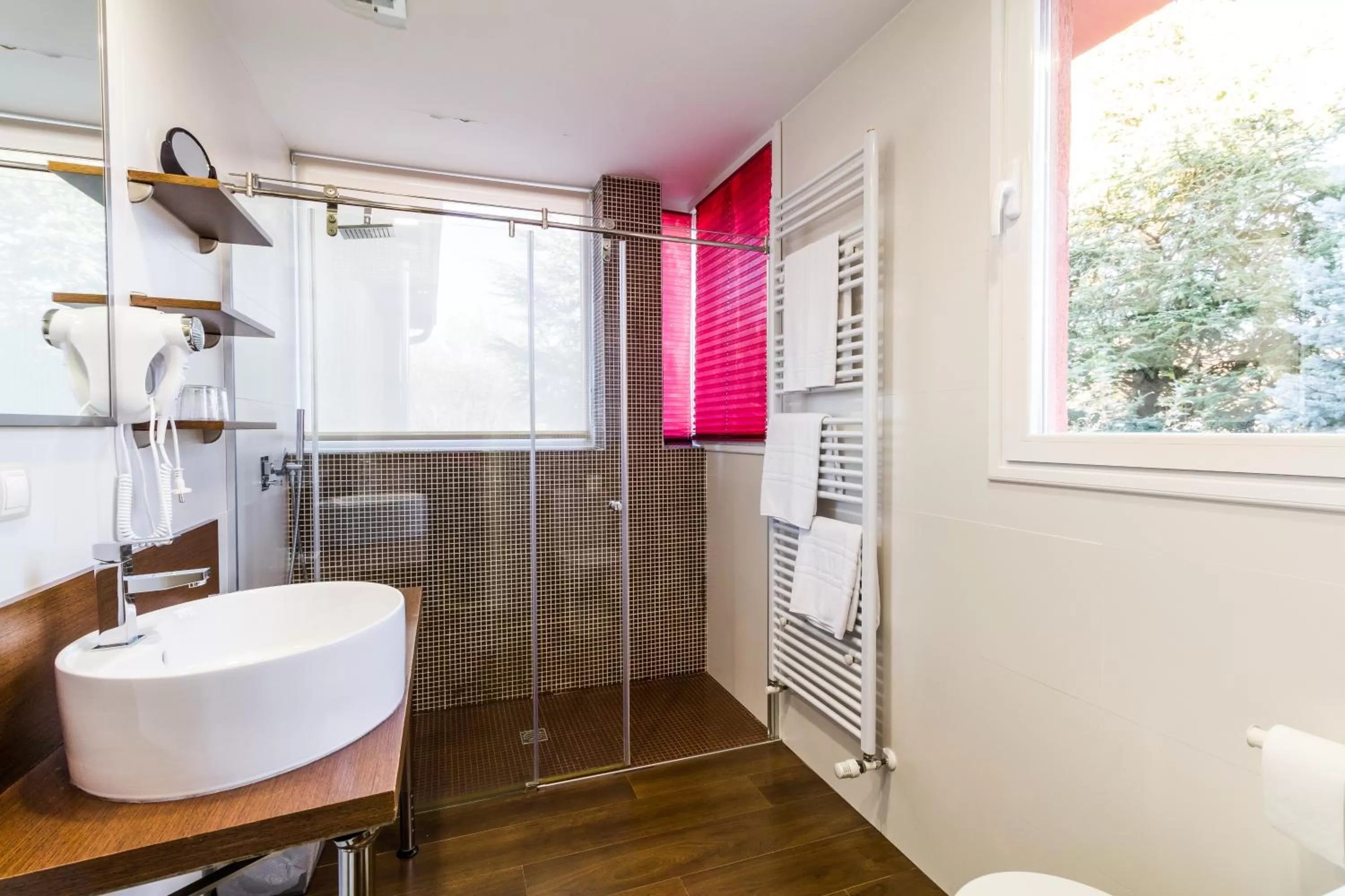 Shower in B&B Concha