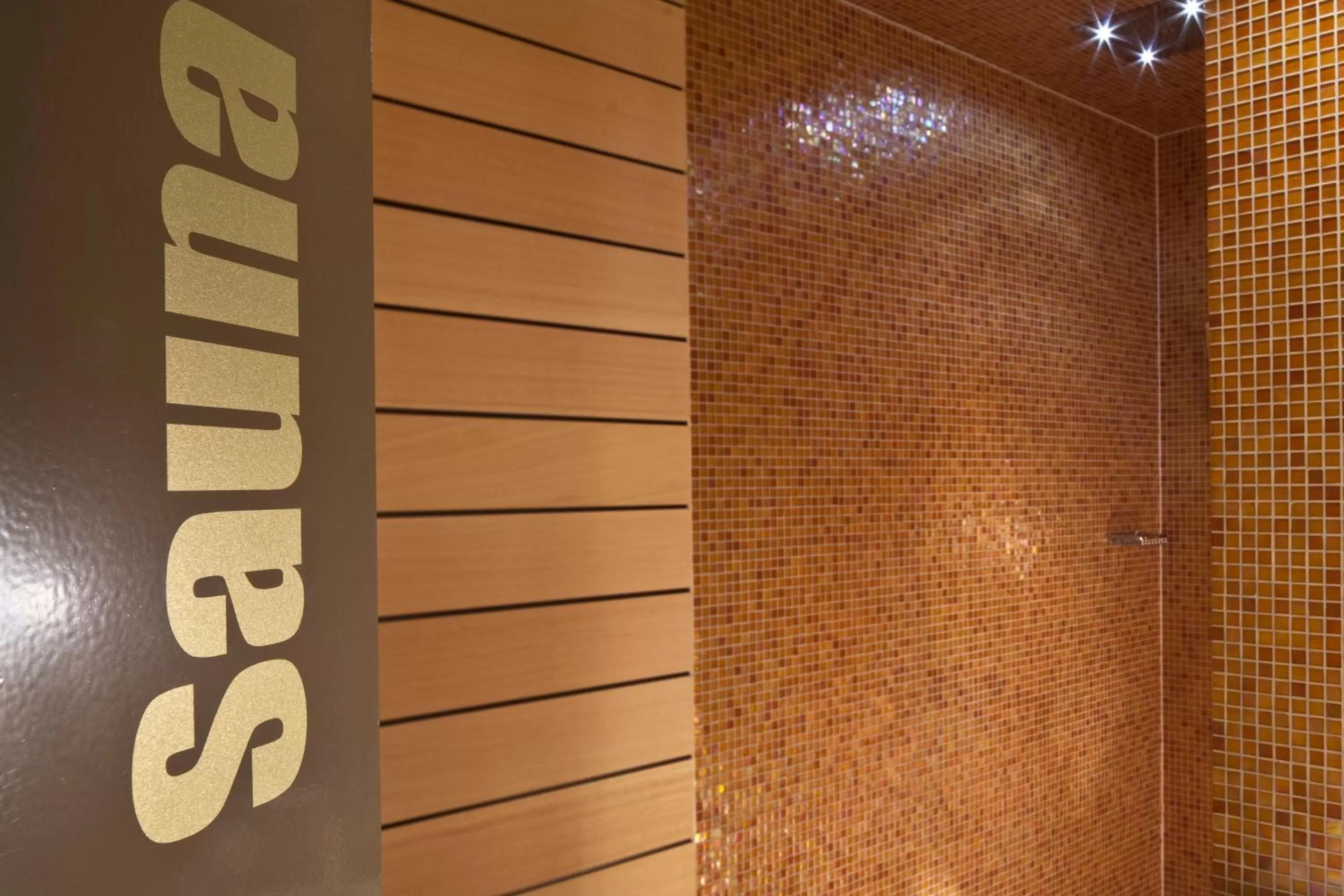 Spa and wellness centre/facilities in Hotel D - Basel - Fully Renovated 2025