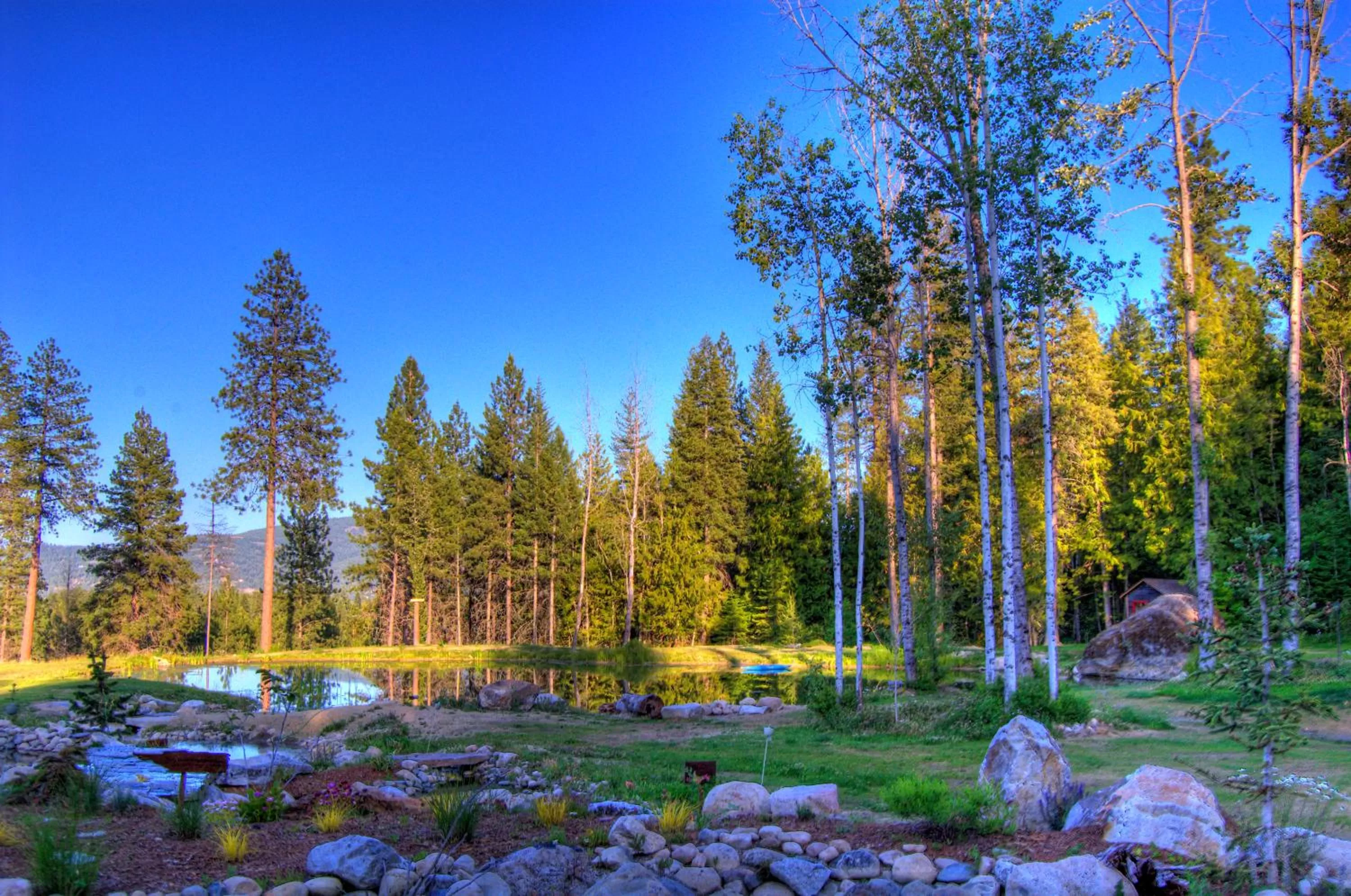 Summer in Talus Rock Retreat