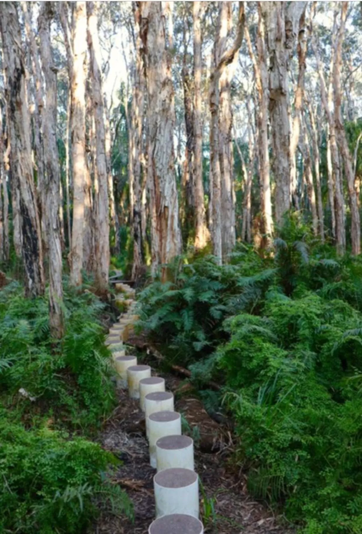 Nearby landmark in Agnes Water Stays over18's