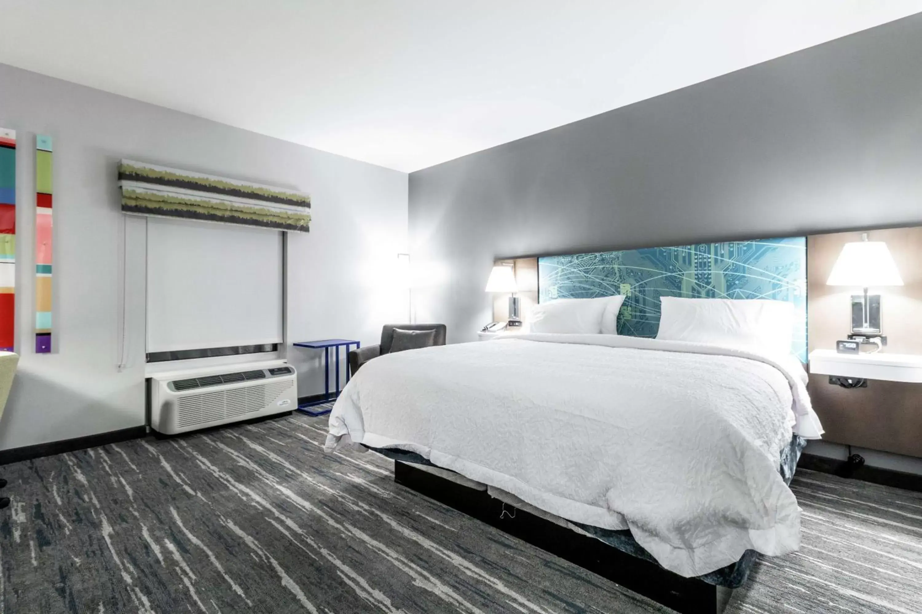 King Room in Hampton Inn Locust Grove King Room in Hampton Inn Locust Grove