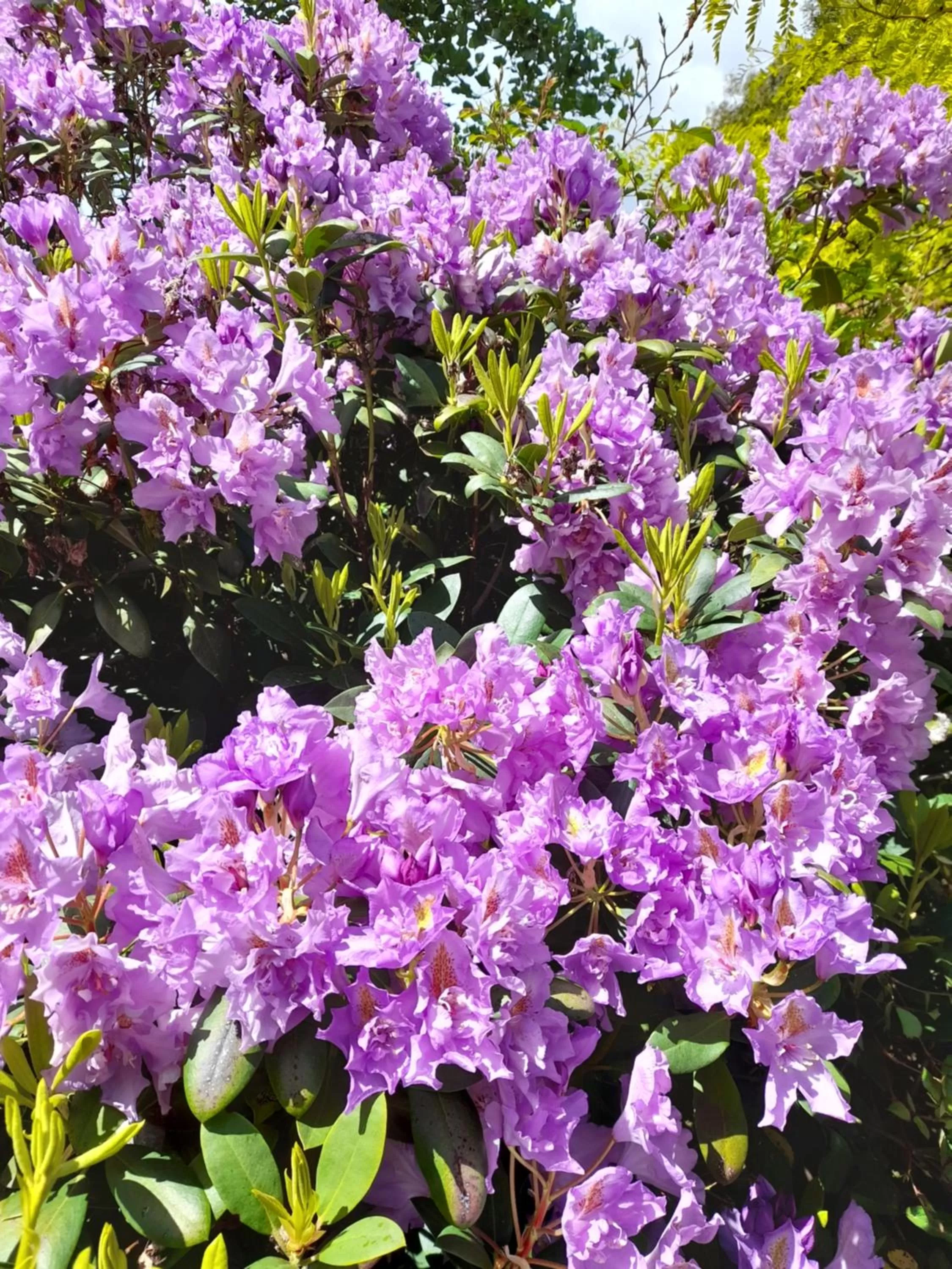 Hillside Bed and Breakfast