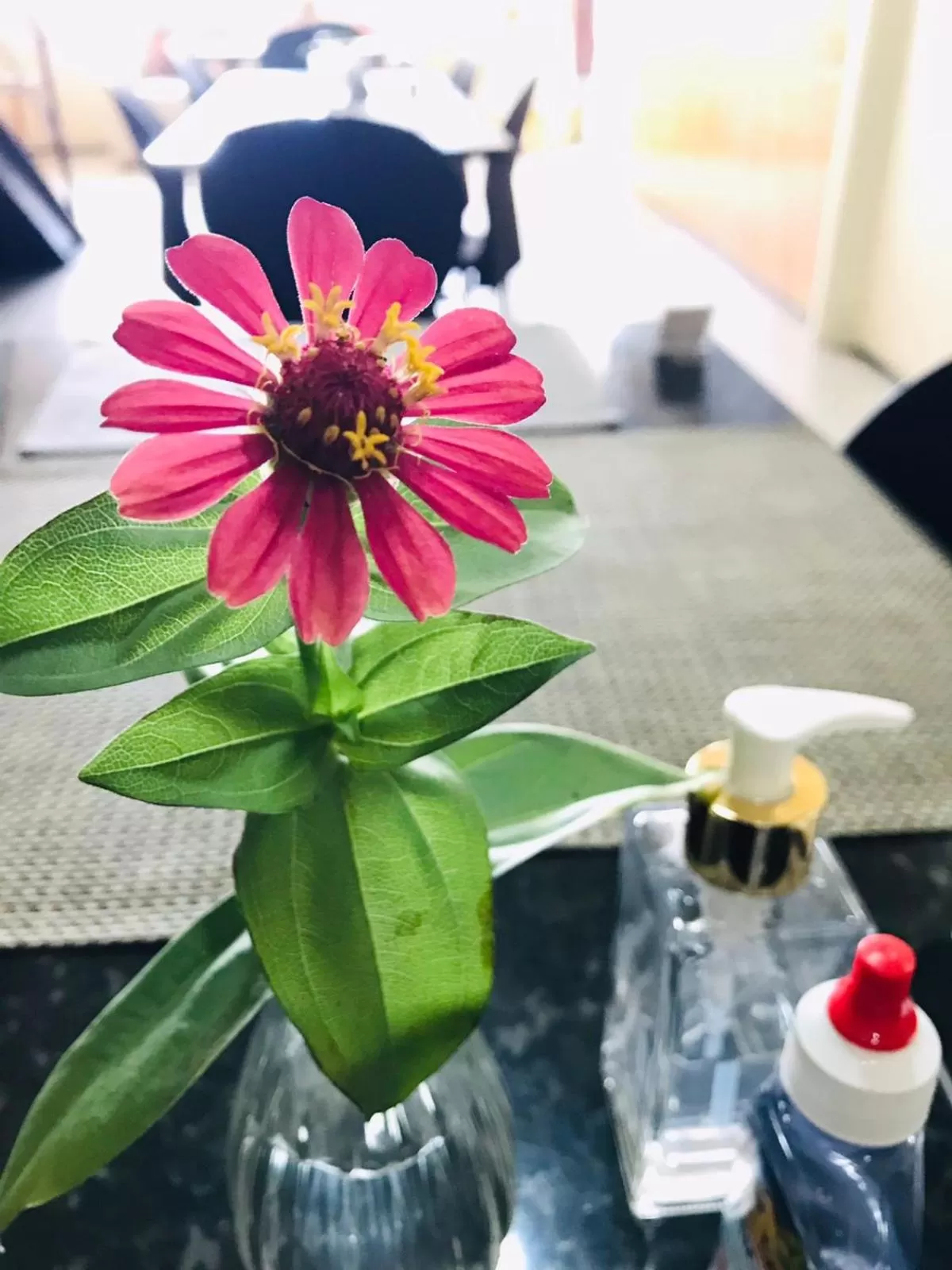 Seating area in Hotel Monólitos