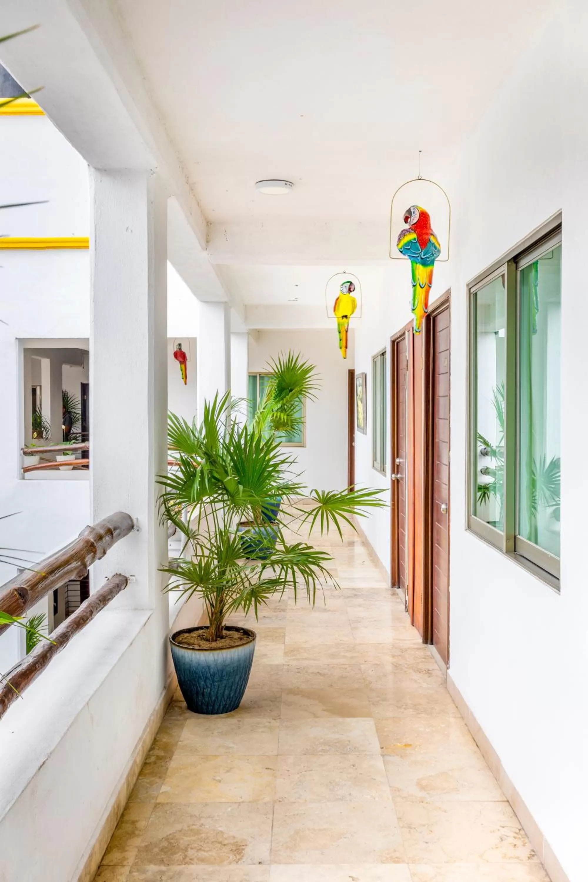 Garden in Hotel Pueblito Vallarta