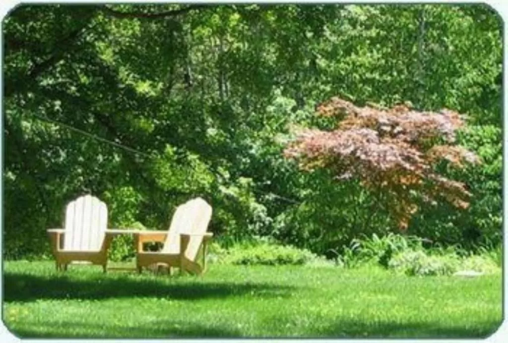 Other, Garden in Buttonwood Inn on Mount Surprise