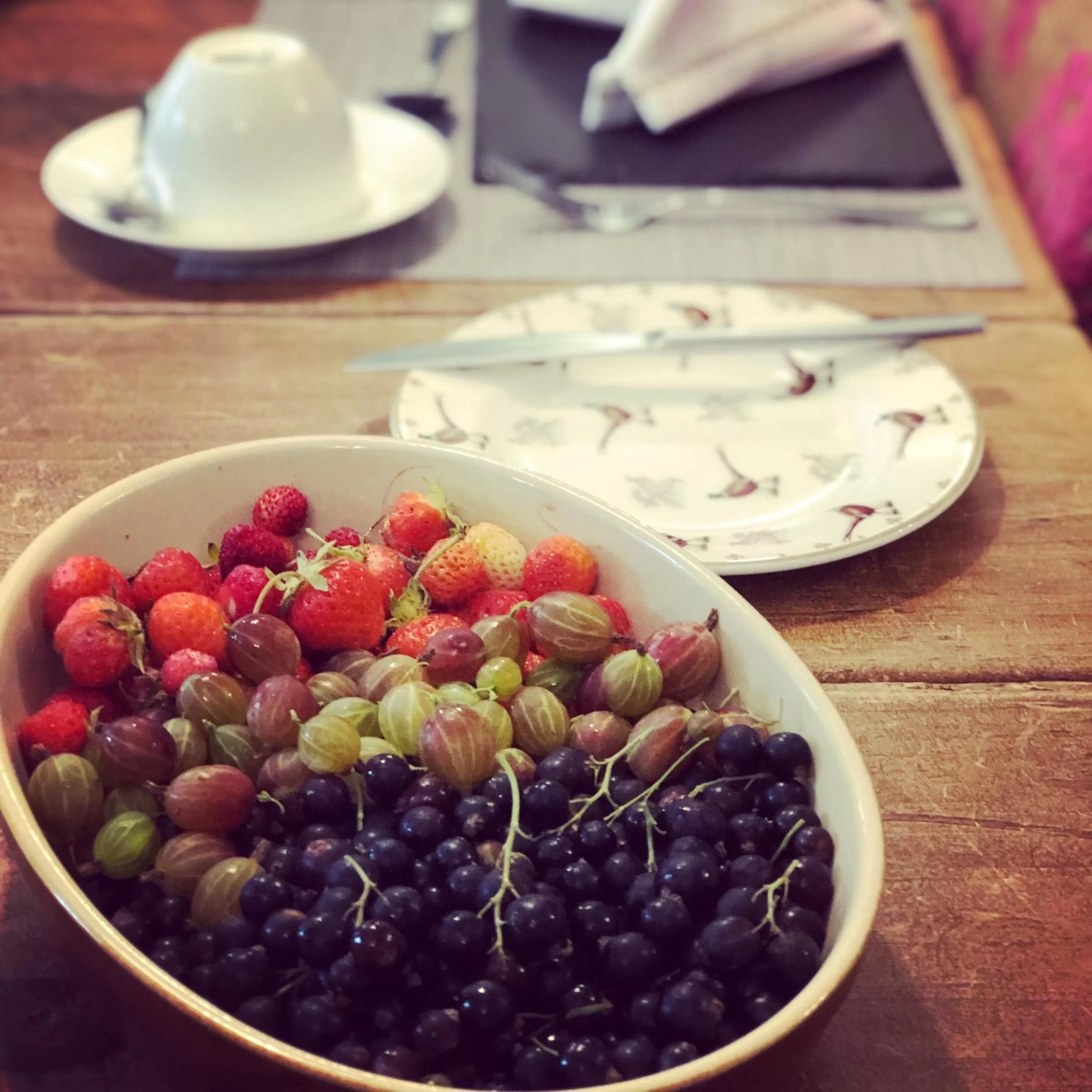 Food and drinks in Nithbank Country Estate 5 Star GOLD