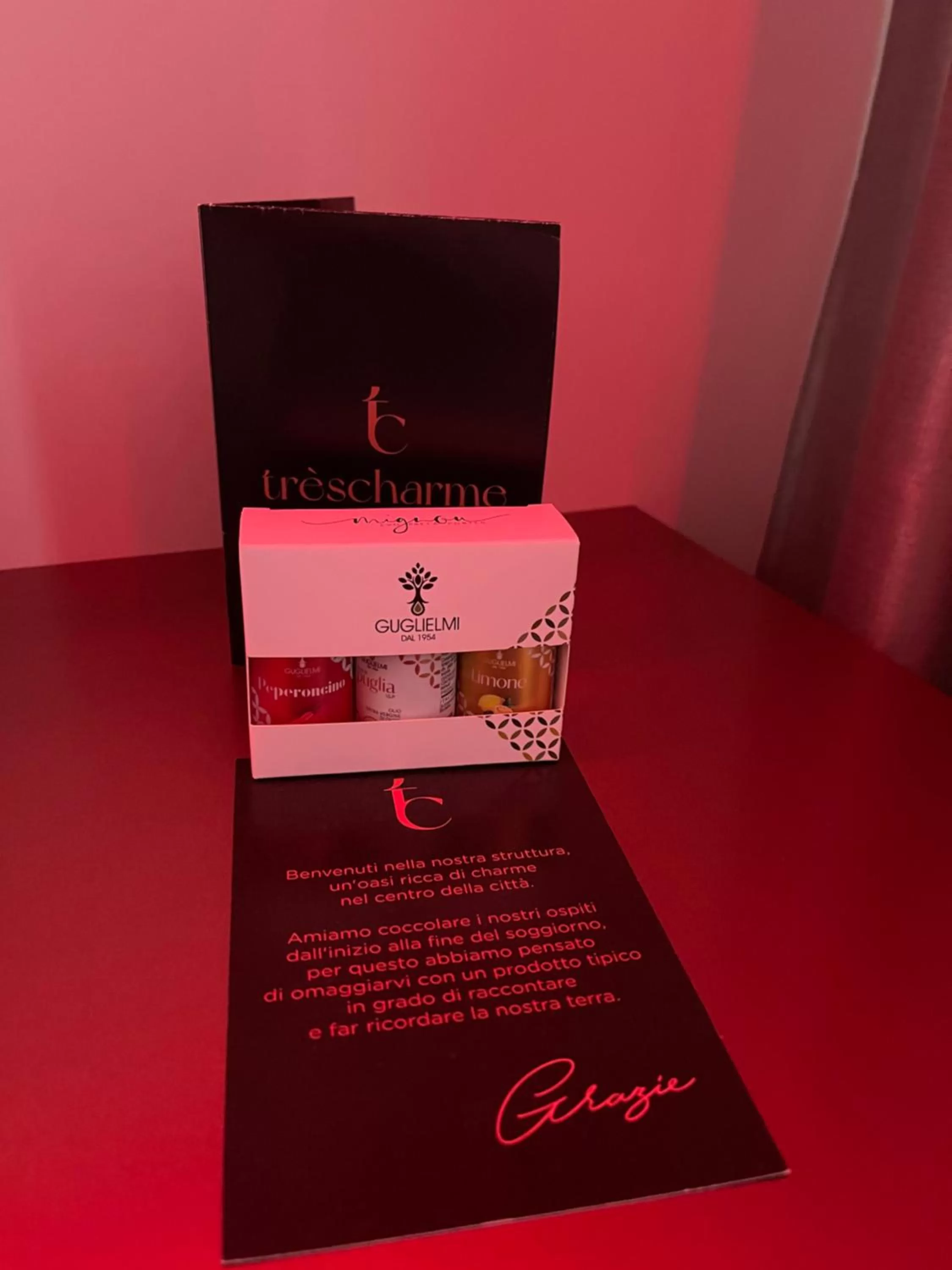 TV/Entertainment Center in Trèscharme