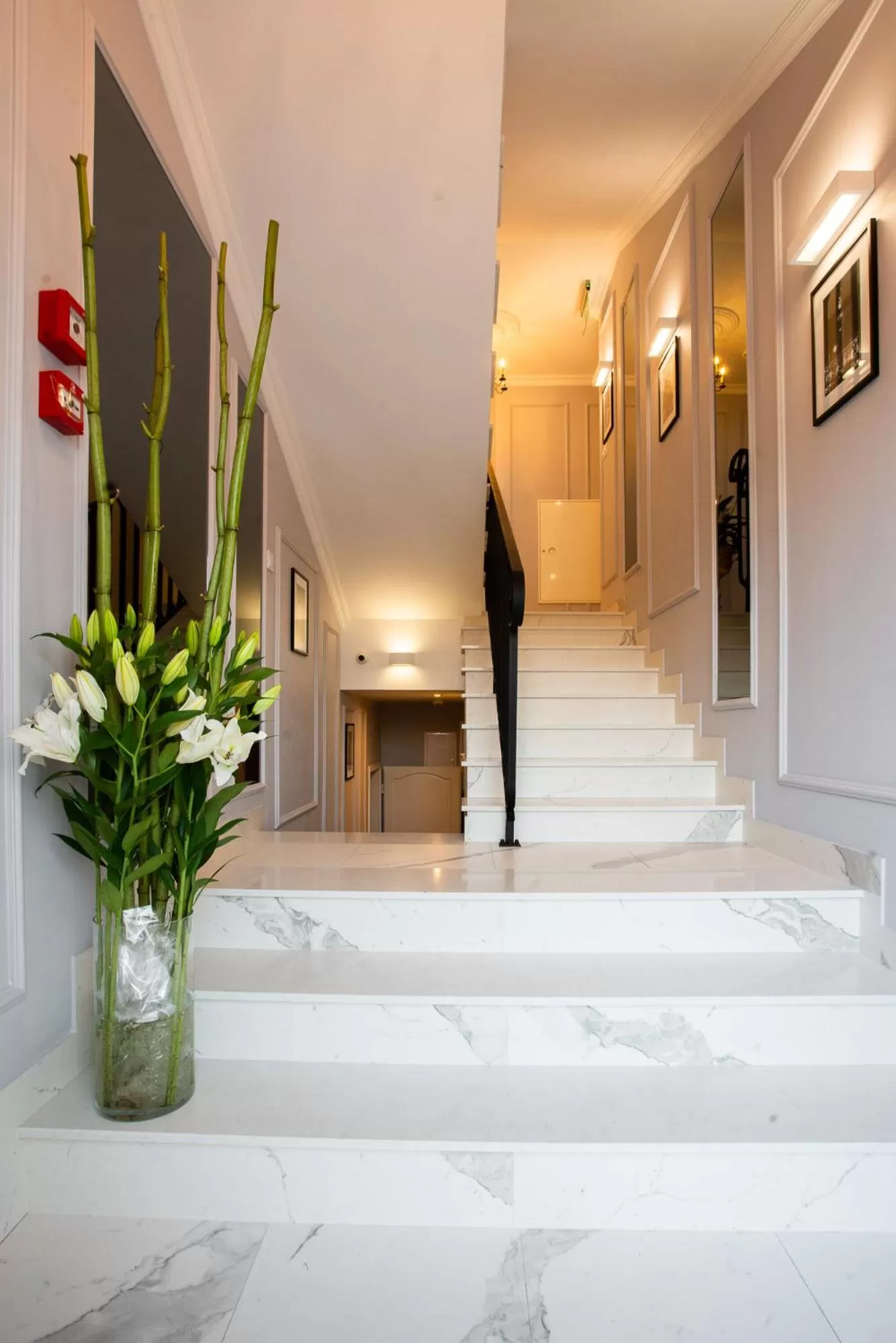 Property building in Willa Krakowska