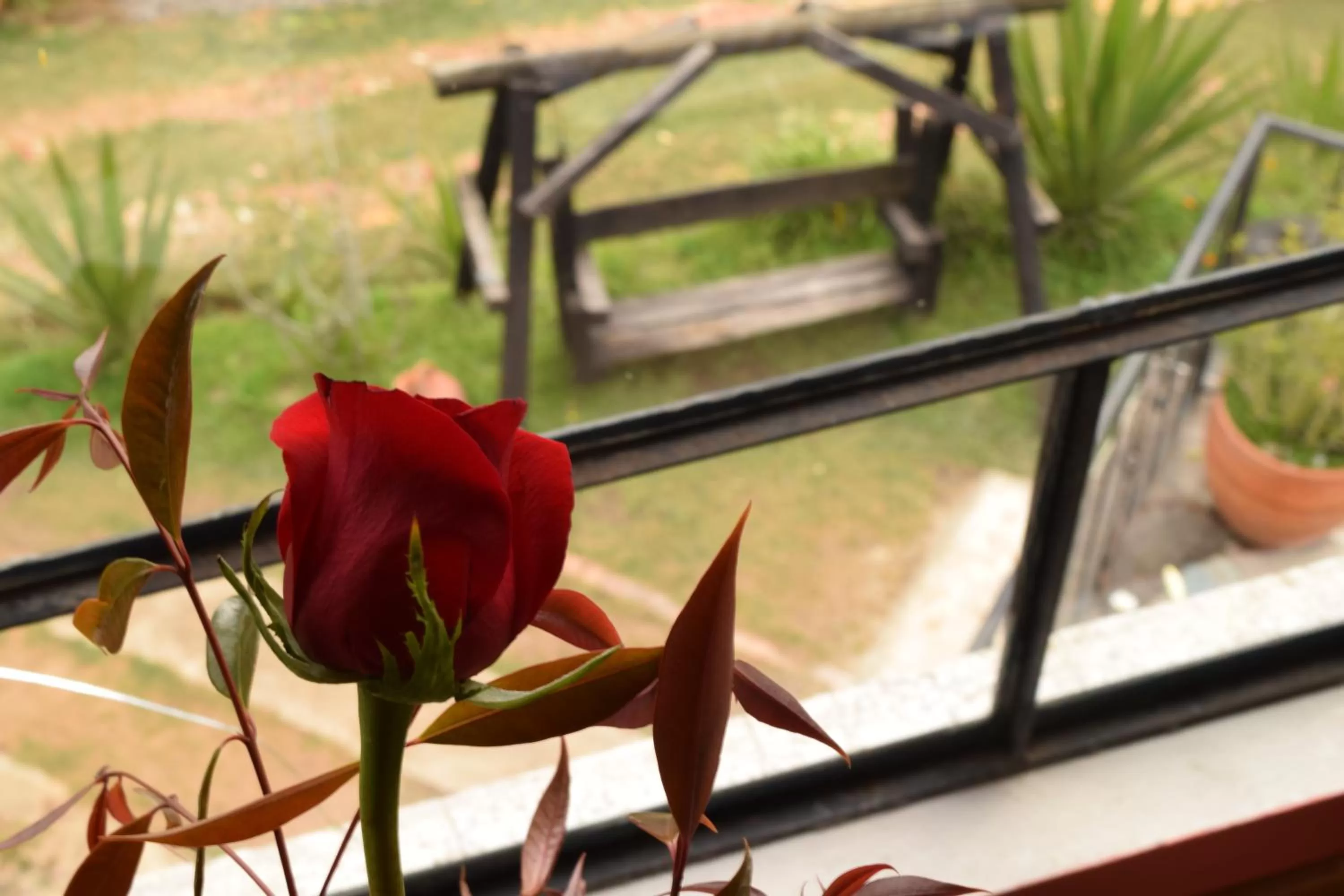 Garden view in El Pedregal Sopó