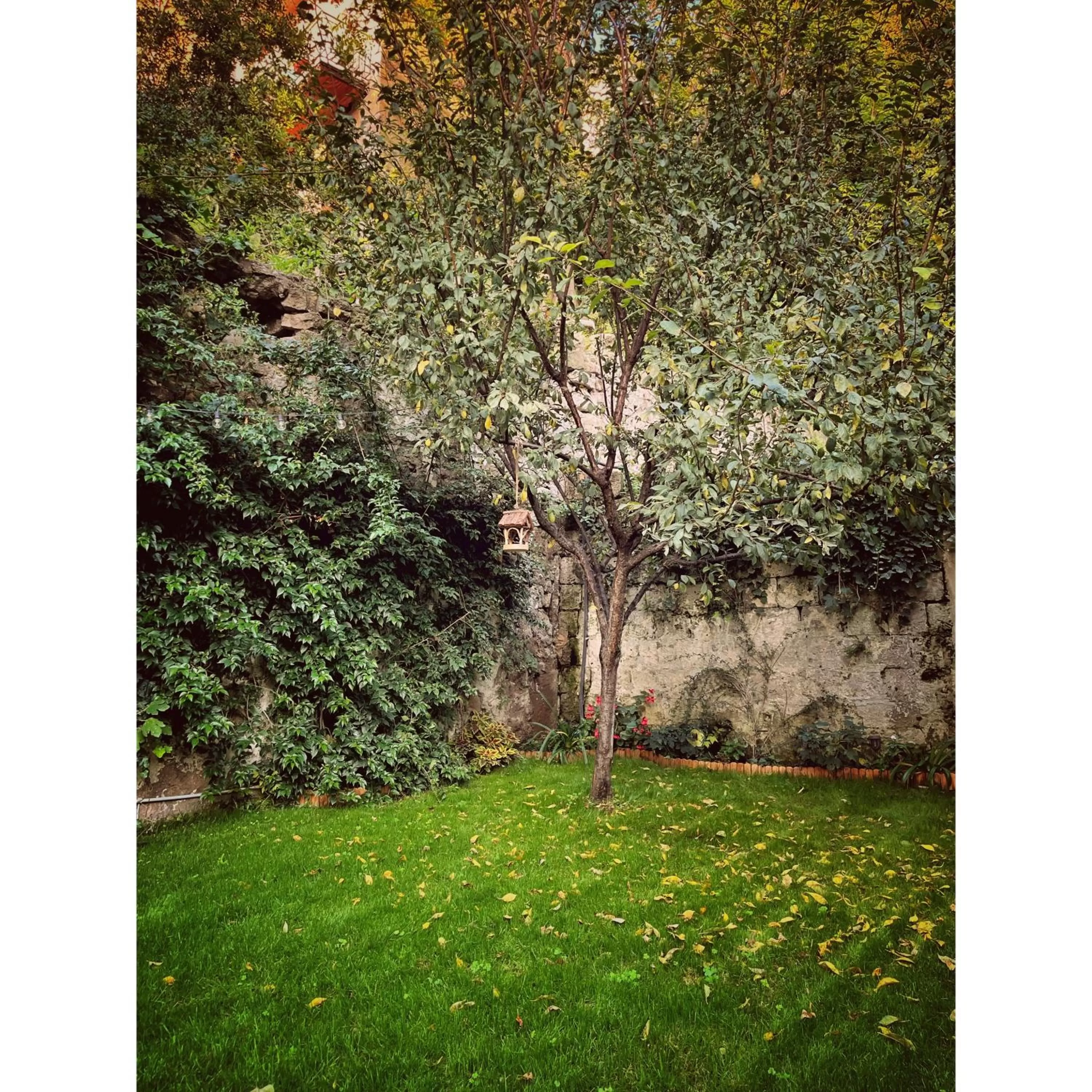 Garden in Casa Vayu - Rooms & Garden