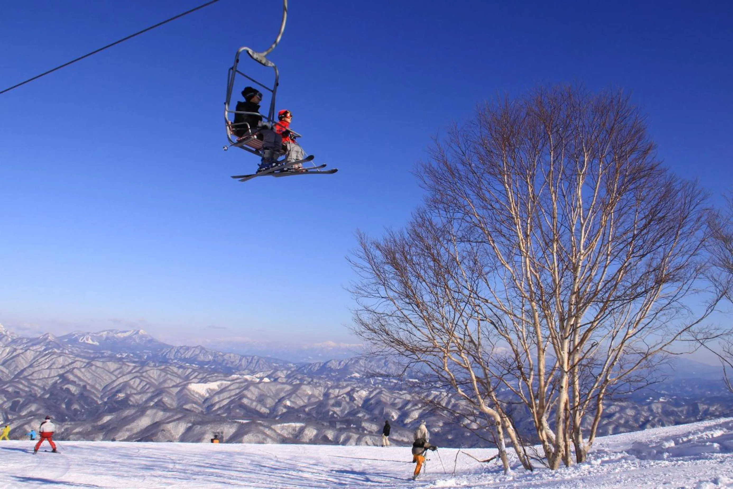 Skiing in Hotel Hakuba