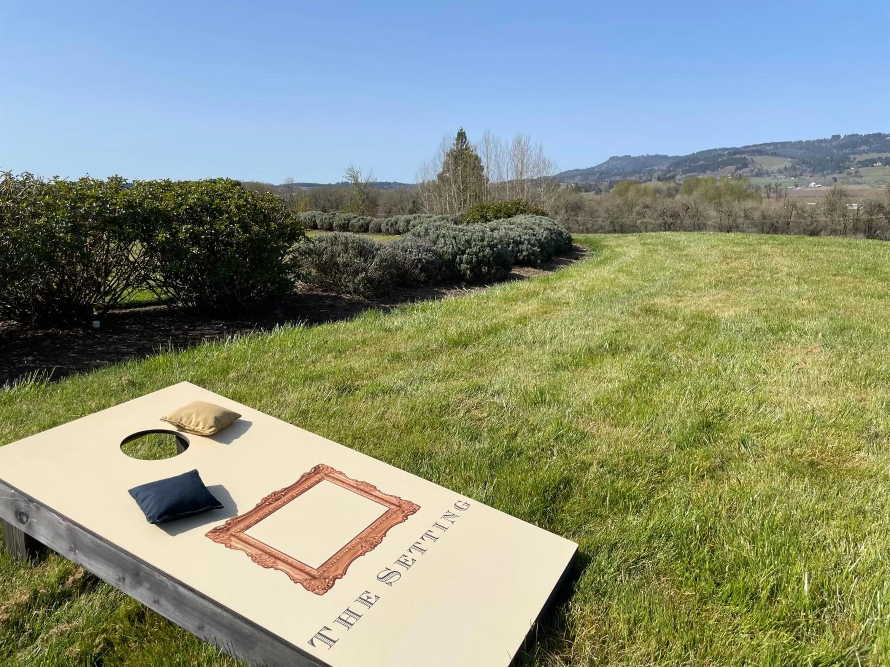 View (from property/room) in The Setting Inn Willamette Valley