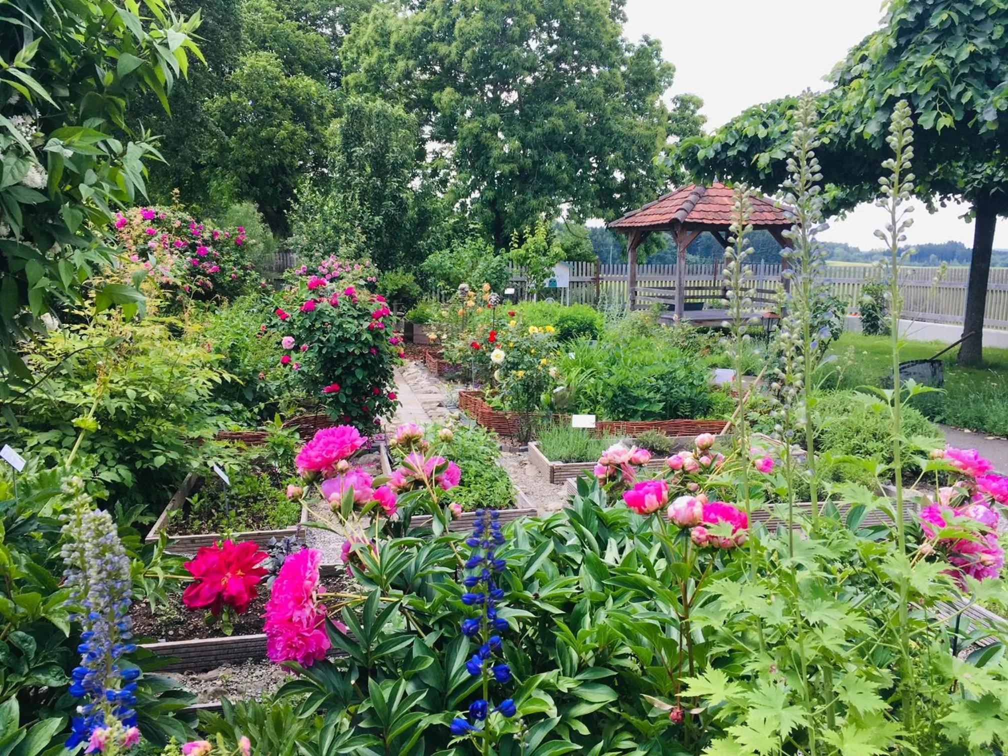 Garden in Hotel-Landgasthof KREUZ