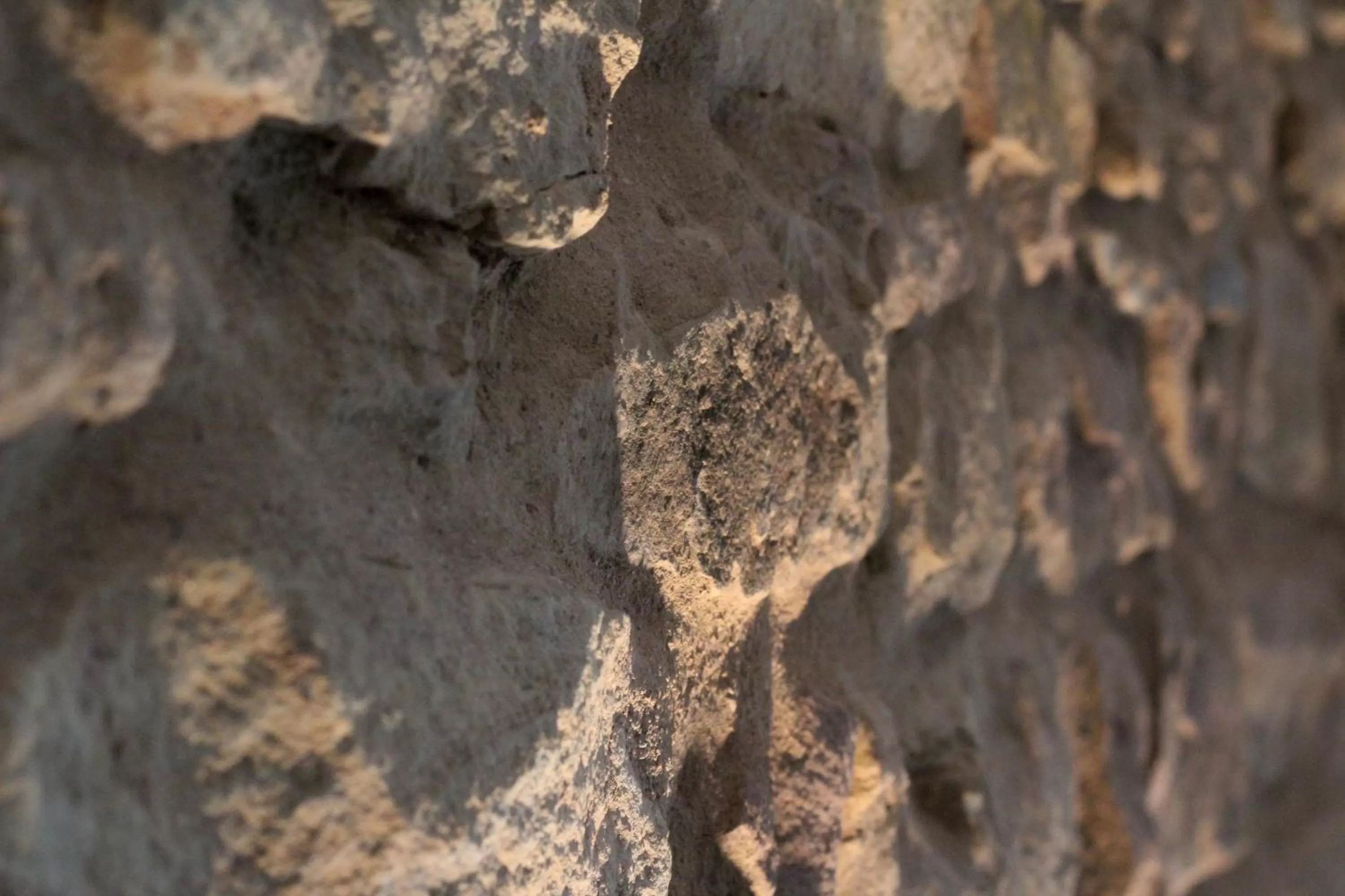 Decorative detail in Chambres d'hôtes - L'Ecurie Obernai