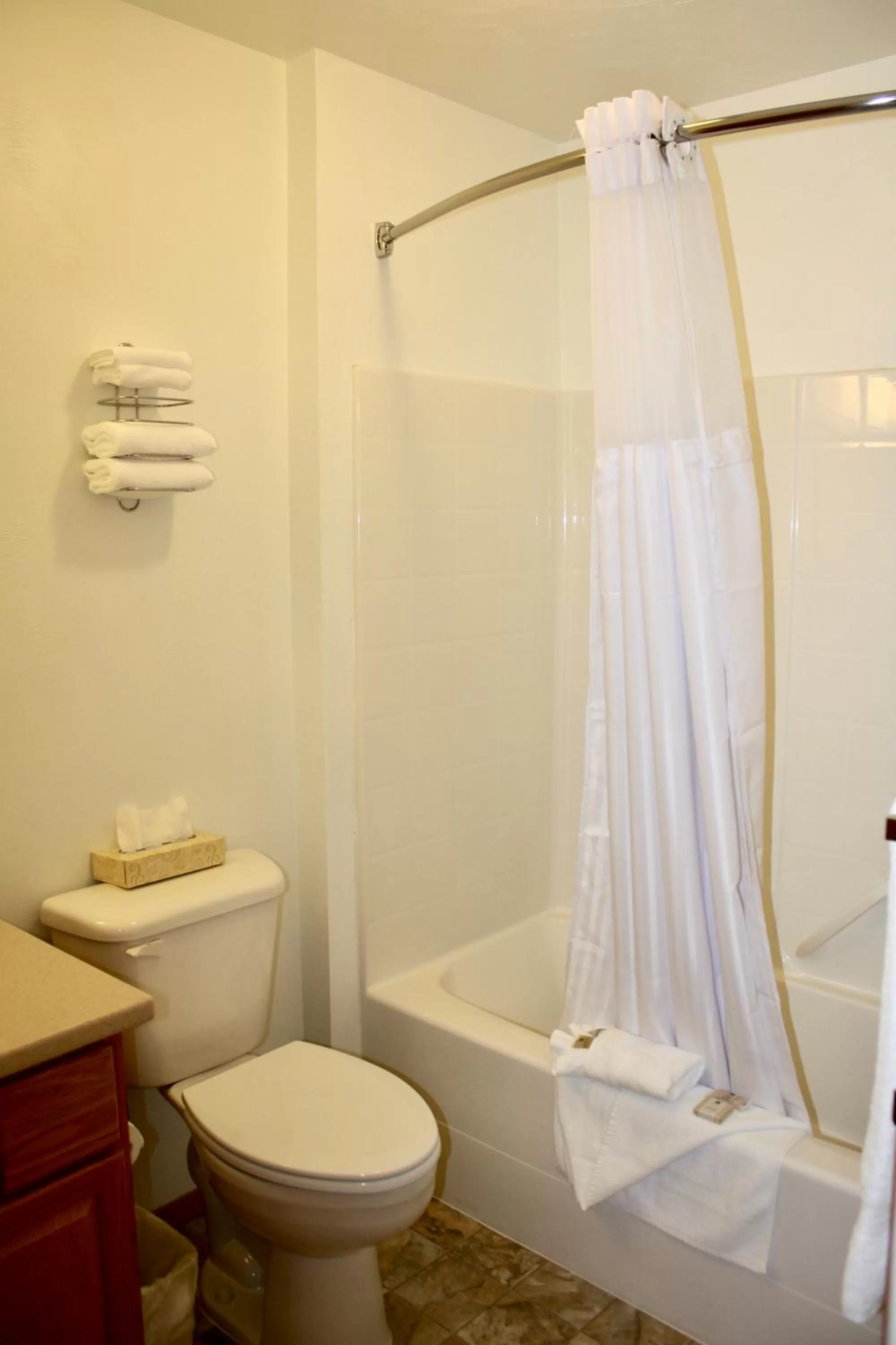 Shower in Juneau Hotel