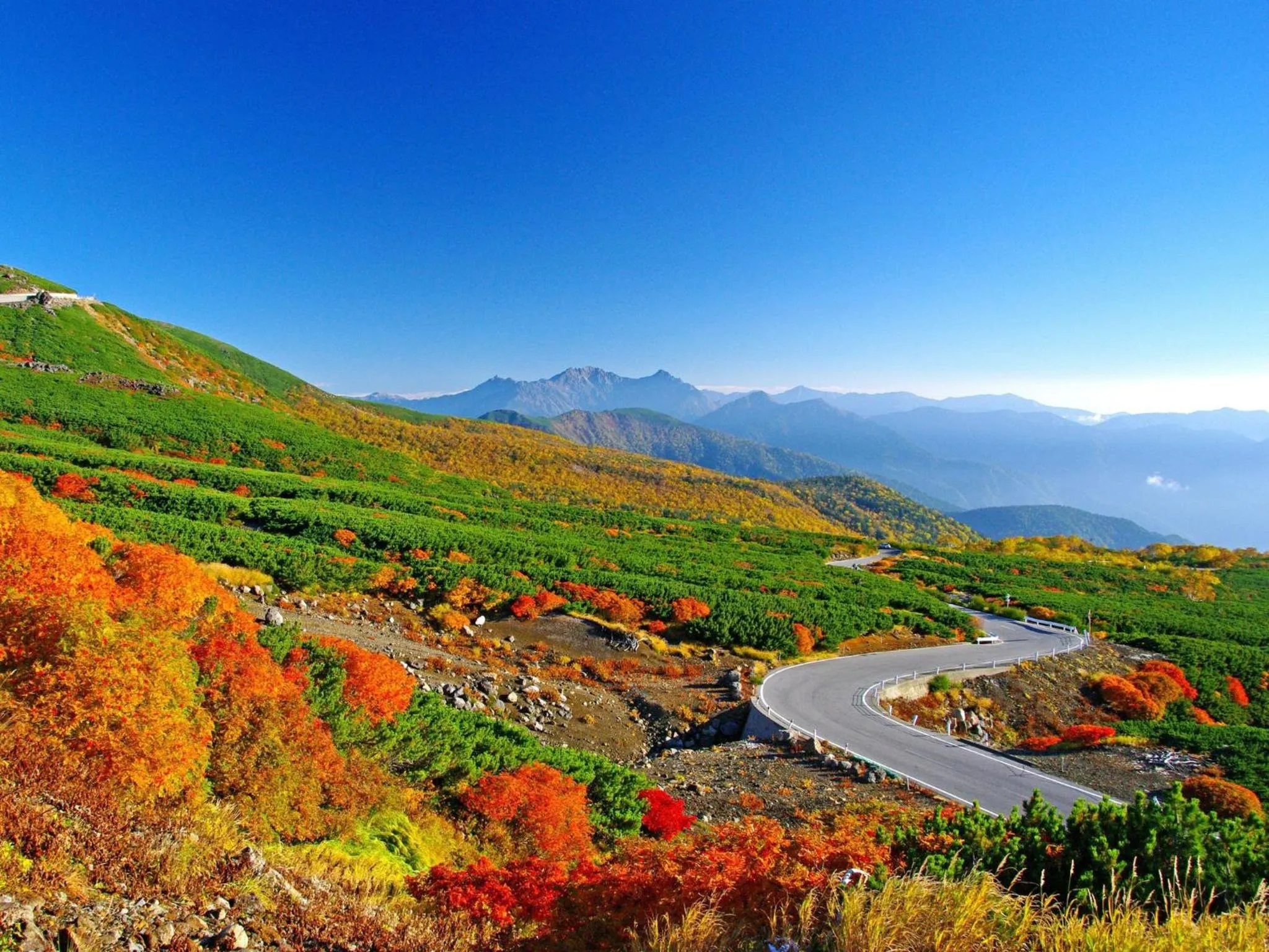 Area and facilities in Hotel Buena Vista