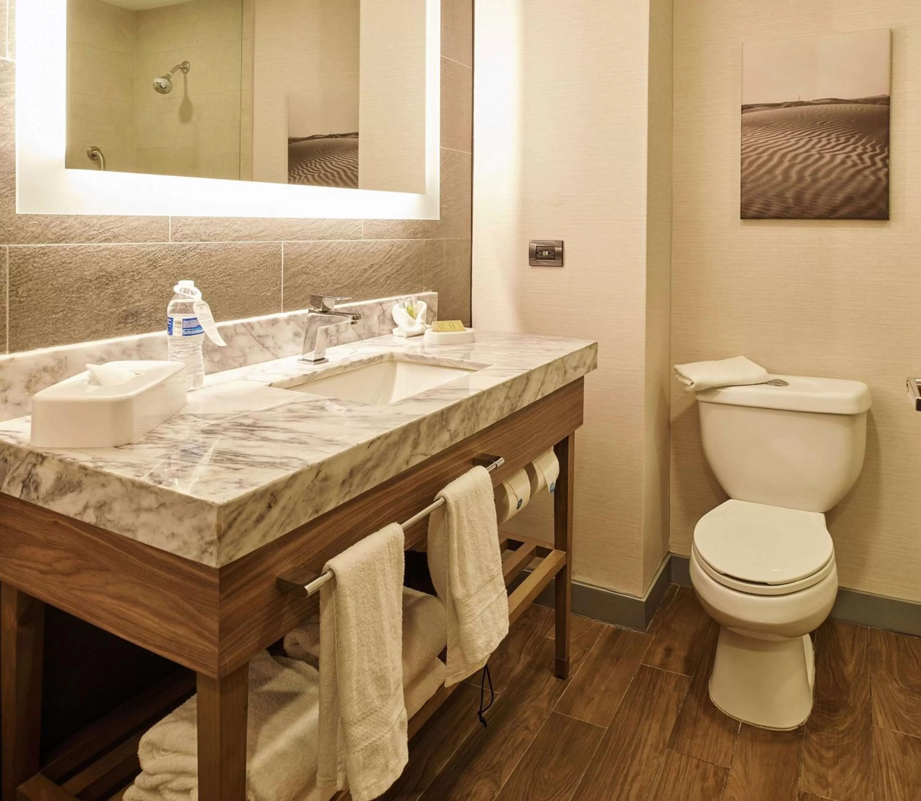 Bathroom in Hampton Inn Ciudad Juarez