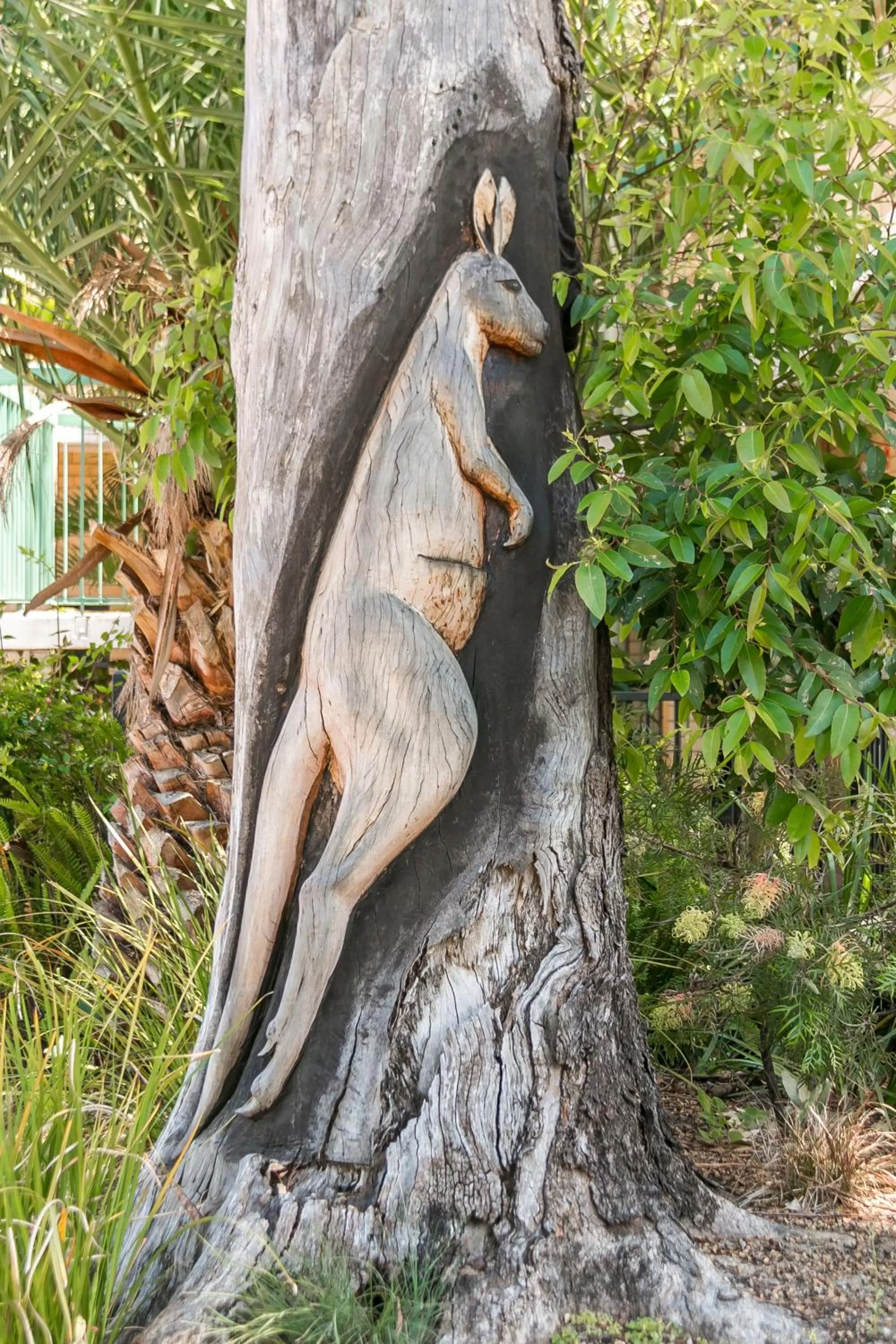 Garden in Flag Motor Lodge