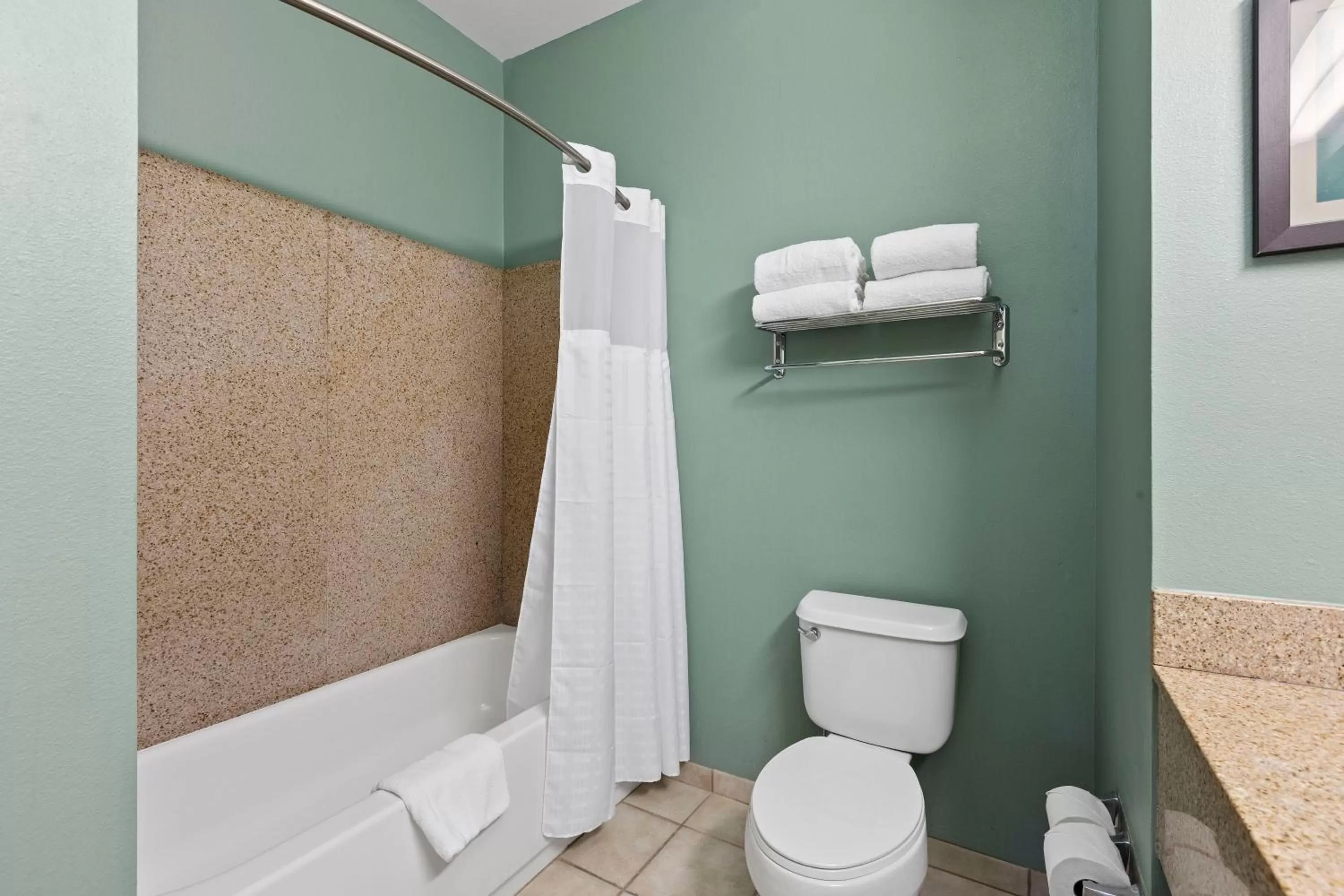 Bathroom in Extended Stay America Premier Suites - Lakeland - I-4