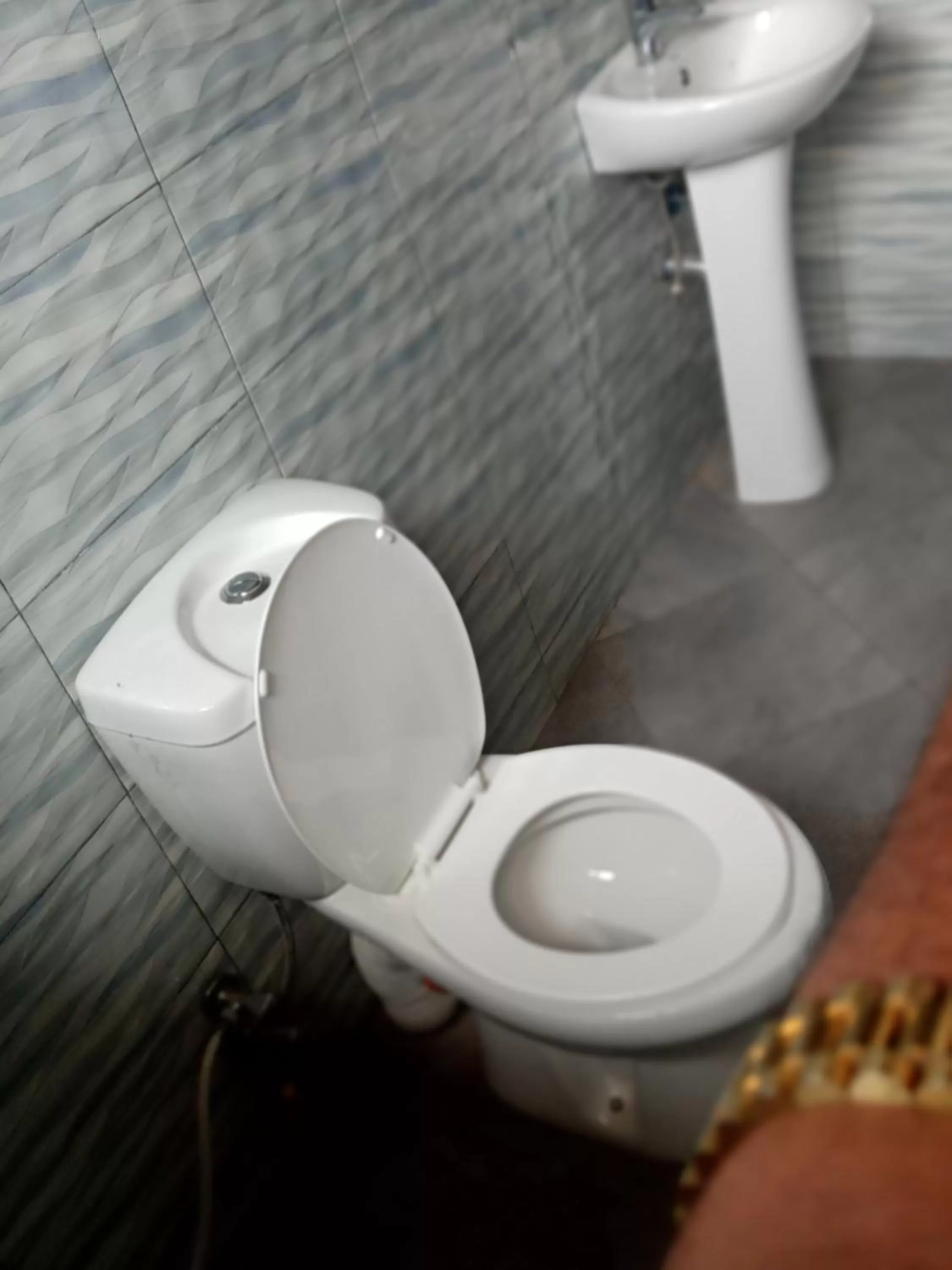 Toilet in Safari Park House