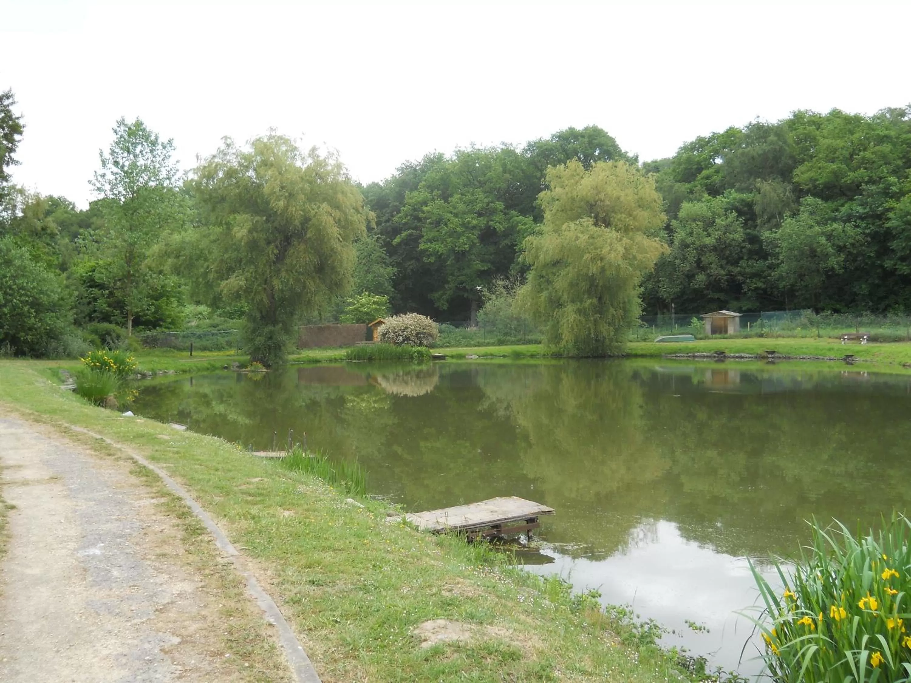Area and facilities in Le Relais De La Haute Sambre
