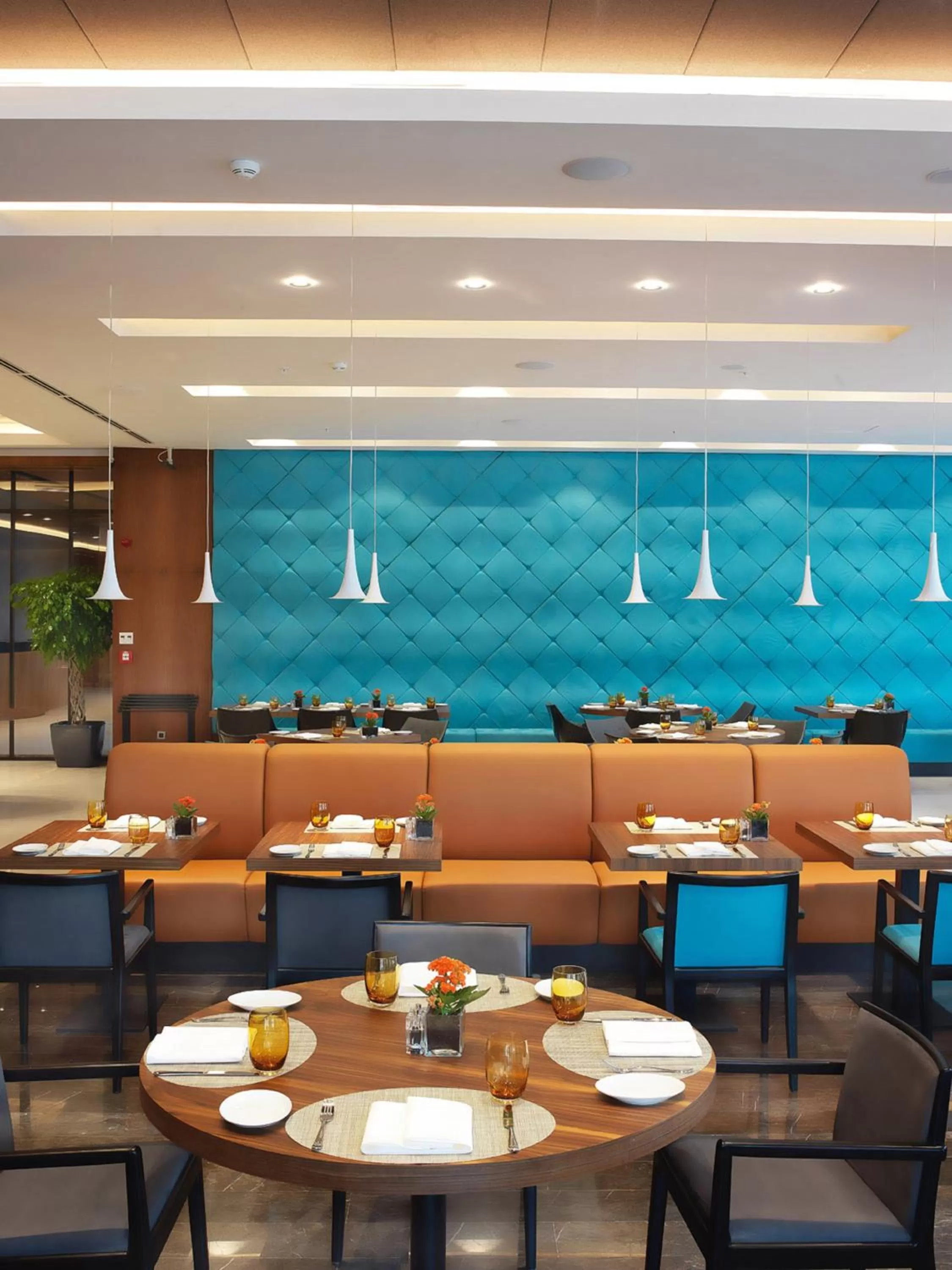 Restaurant/places to eat in Divan Adana