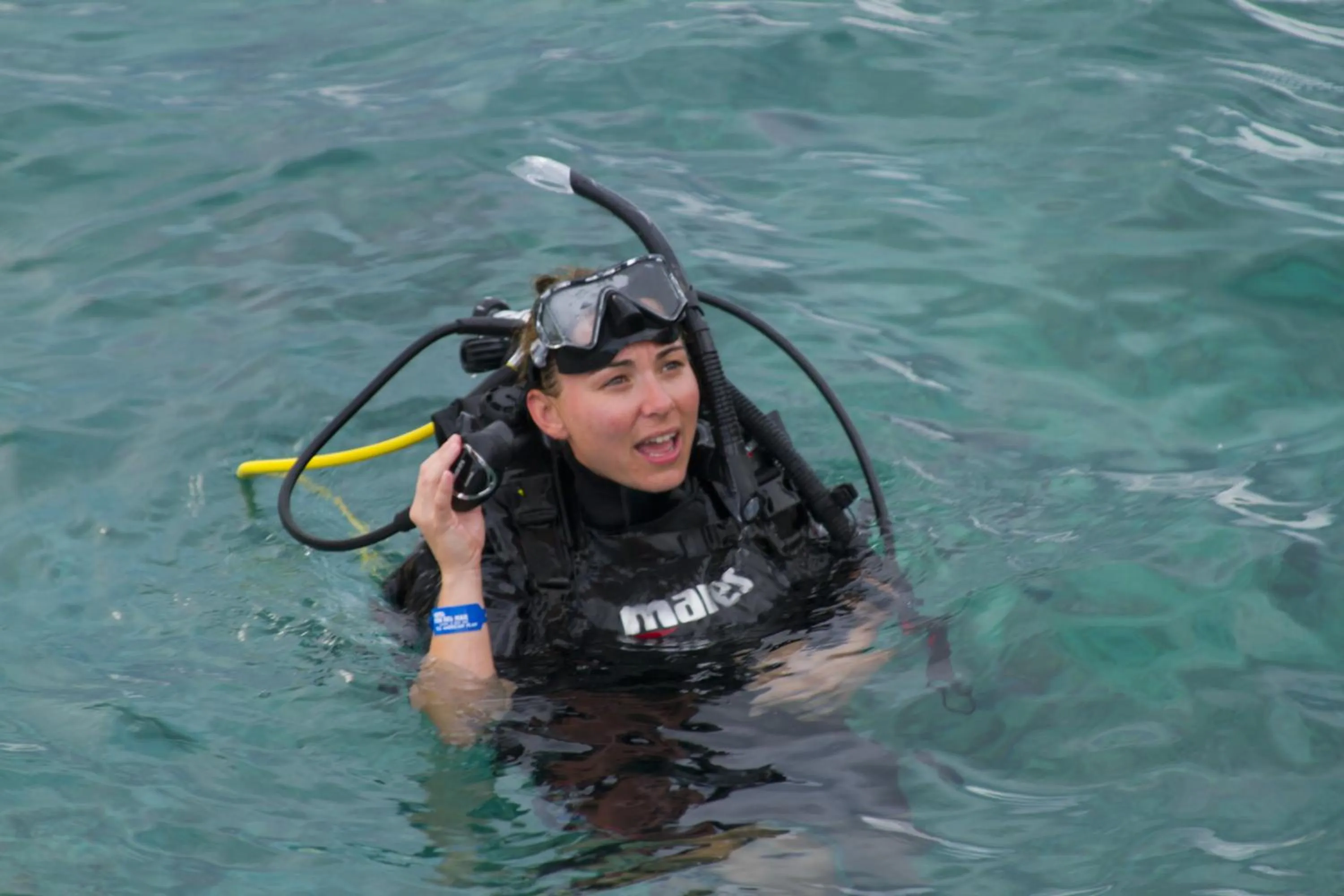 Diving in Casa del Mar Cozumel Hotel & Dive Resort with free access to an exclusive beach club