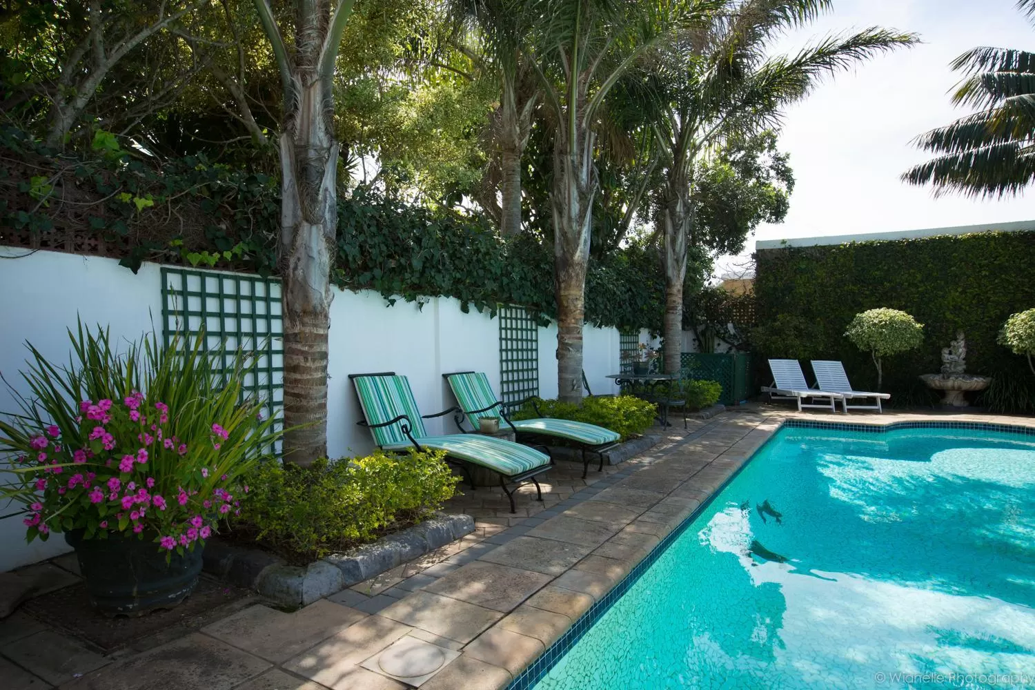 Swimming pool in Carslogie House