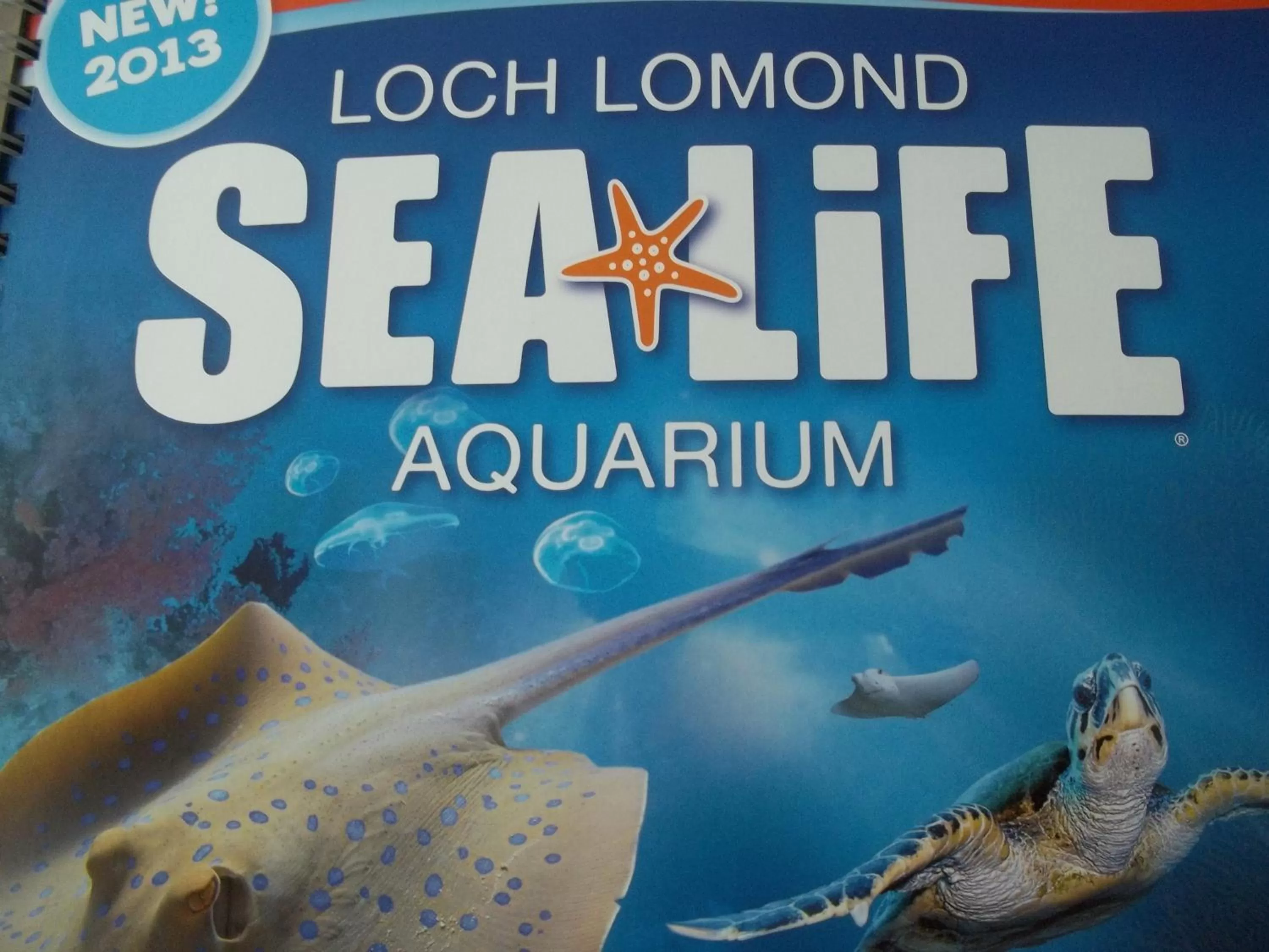 Other in Glenfern Guest House and a separate Cottage with its own private hot tub