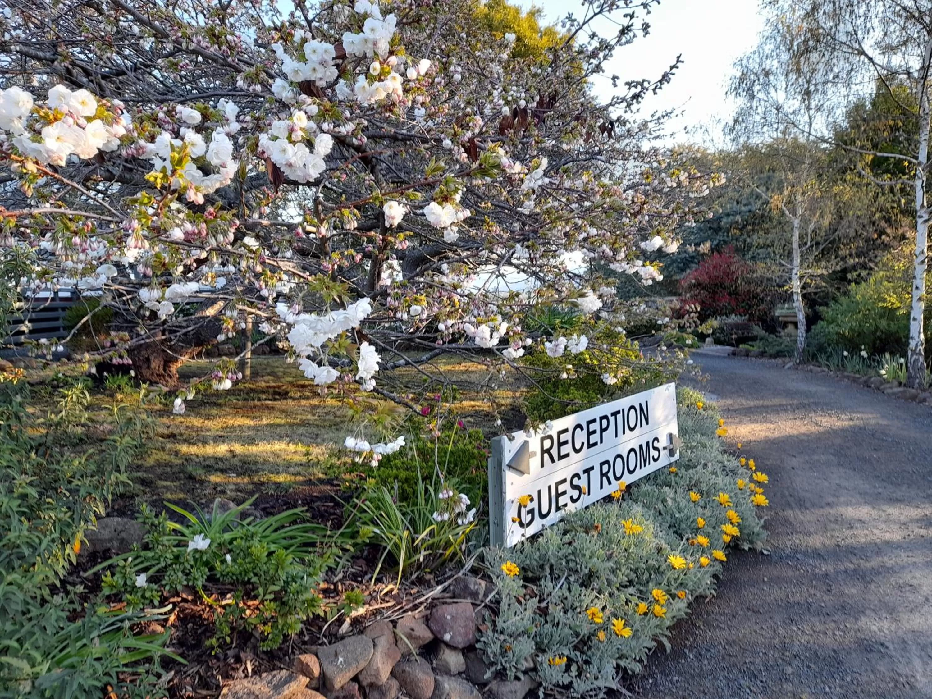 Hillside Bed and Breakfast