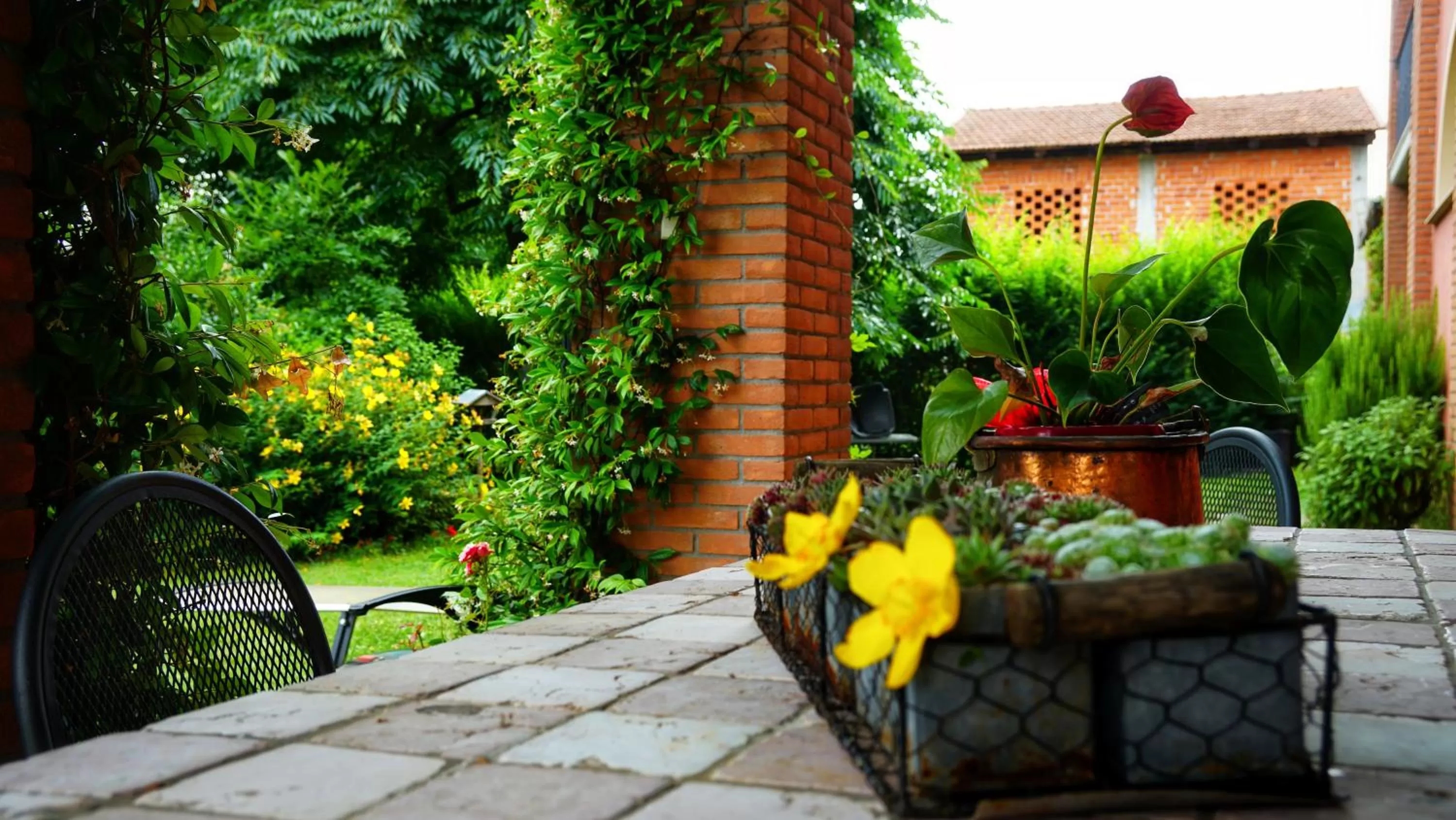 Bed & Breakfast Milù