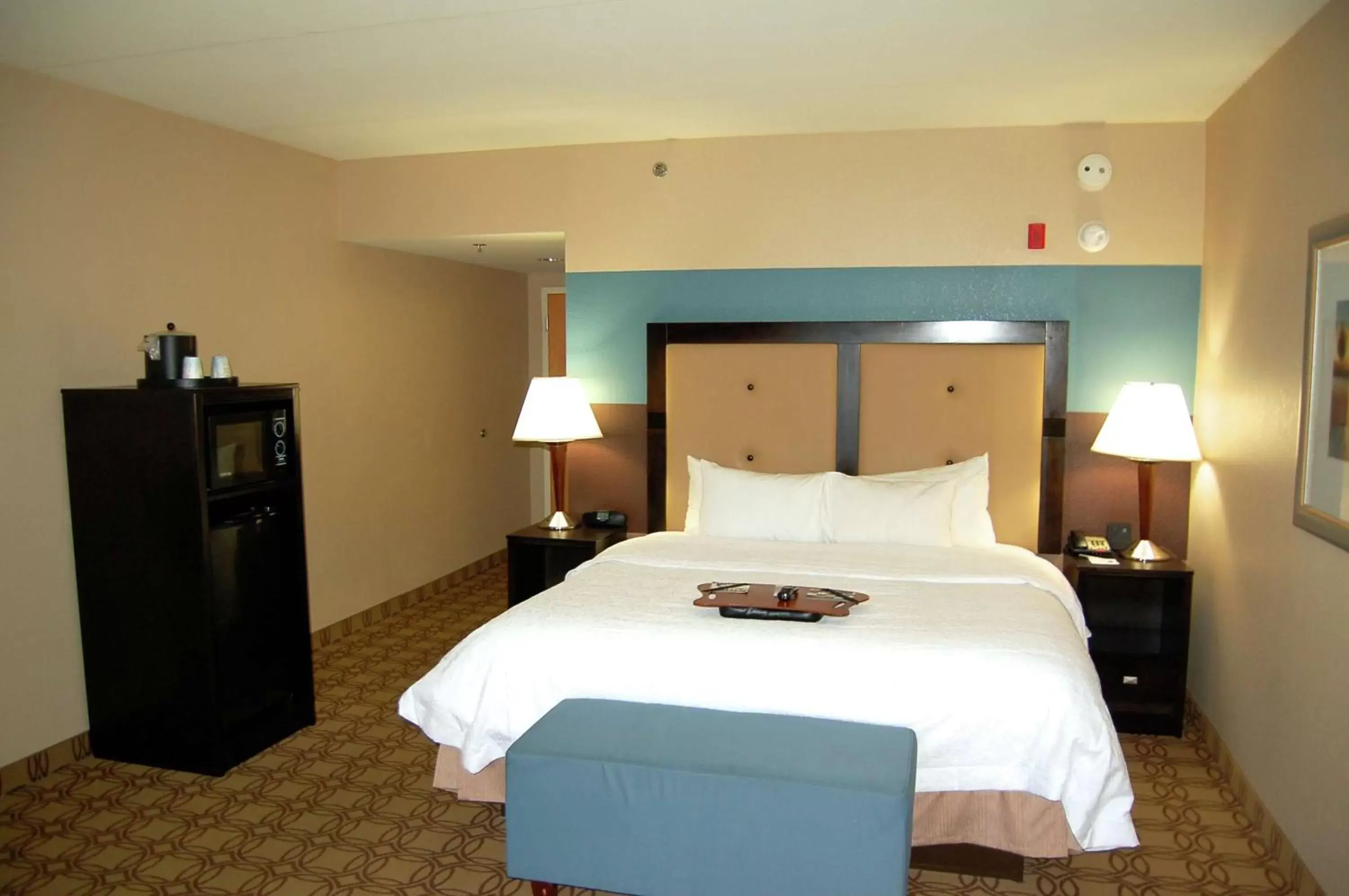 King Room with King Bed - Non-Smoking in Hampton Inn & Suites Charlotte-Airport King Room with King Bed - Non-Smoking in Hampton Inn & Suites Charlotte-Airport