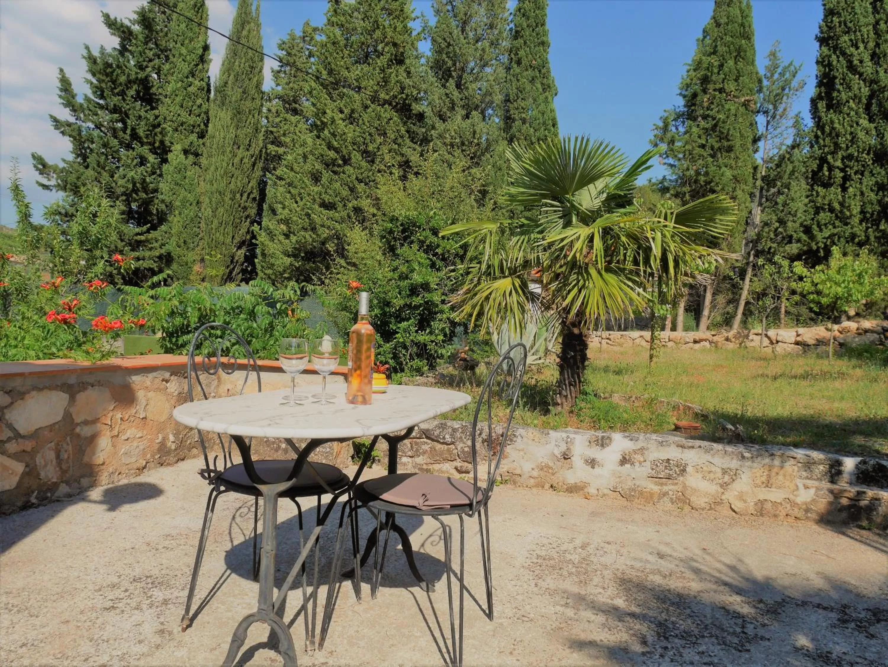 Patio in Le Mas des Oliviers