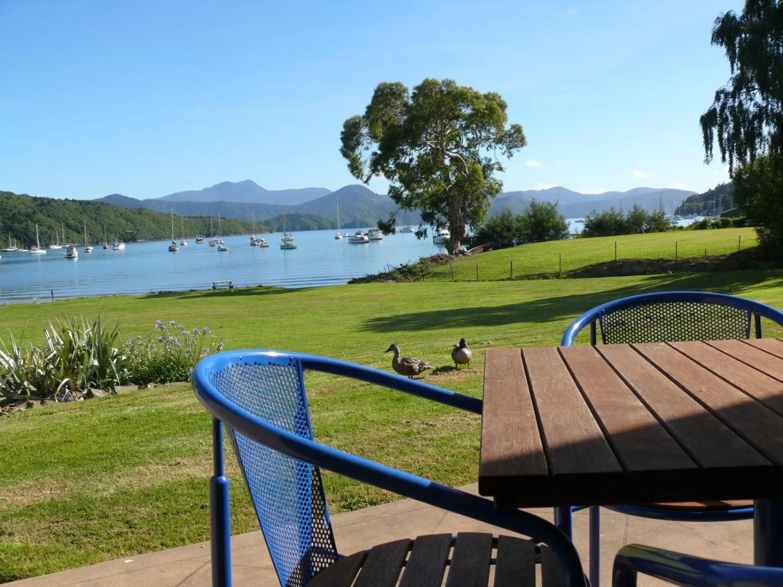 Garden in Bay Vista Waterfront Motel
