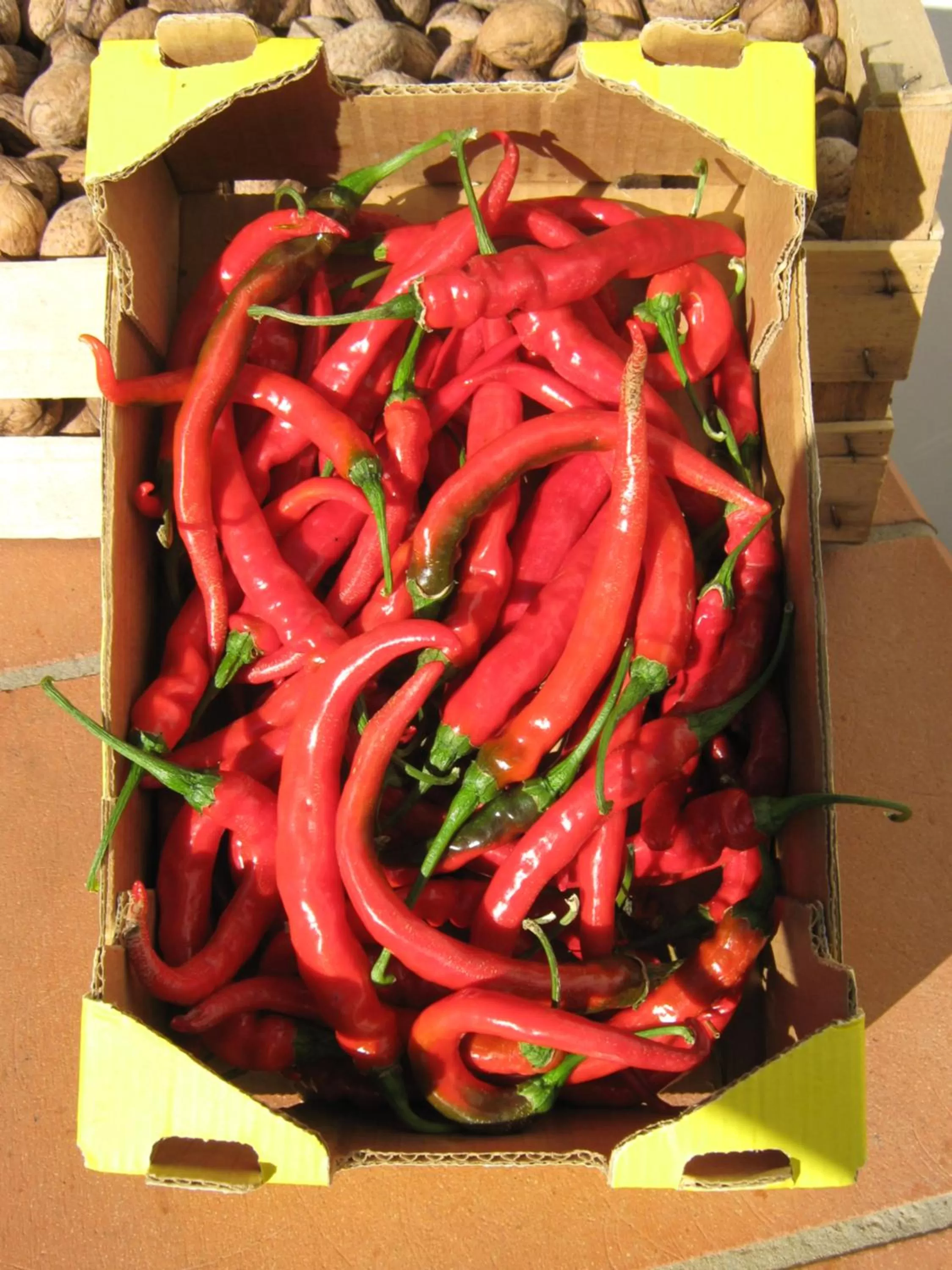 Autumn, Food in B & B OASI