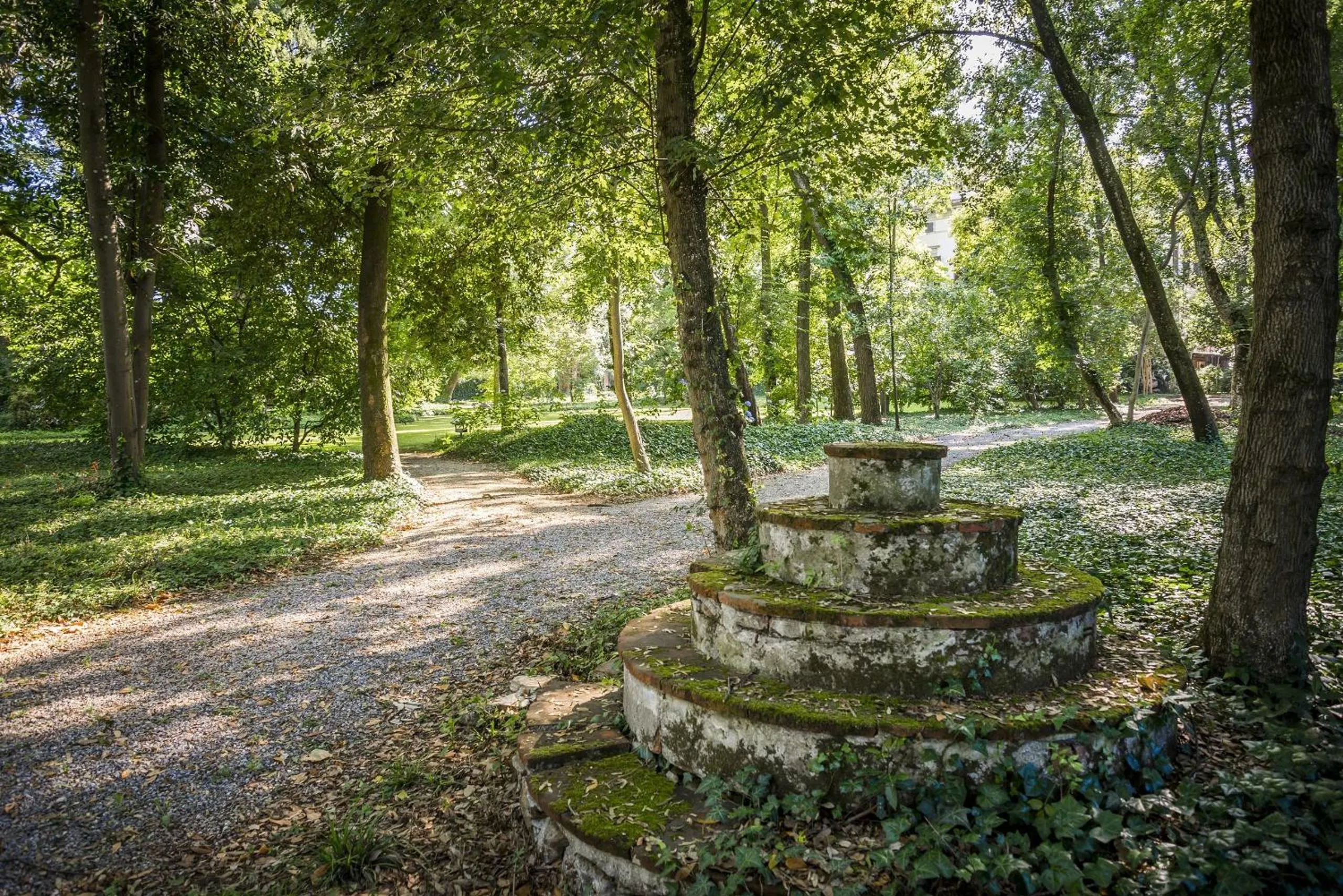 Garden in Hotel Villa La Principessa