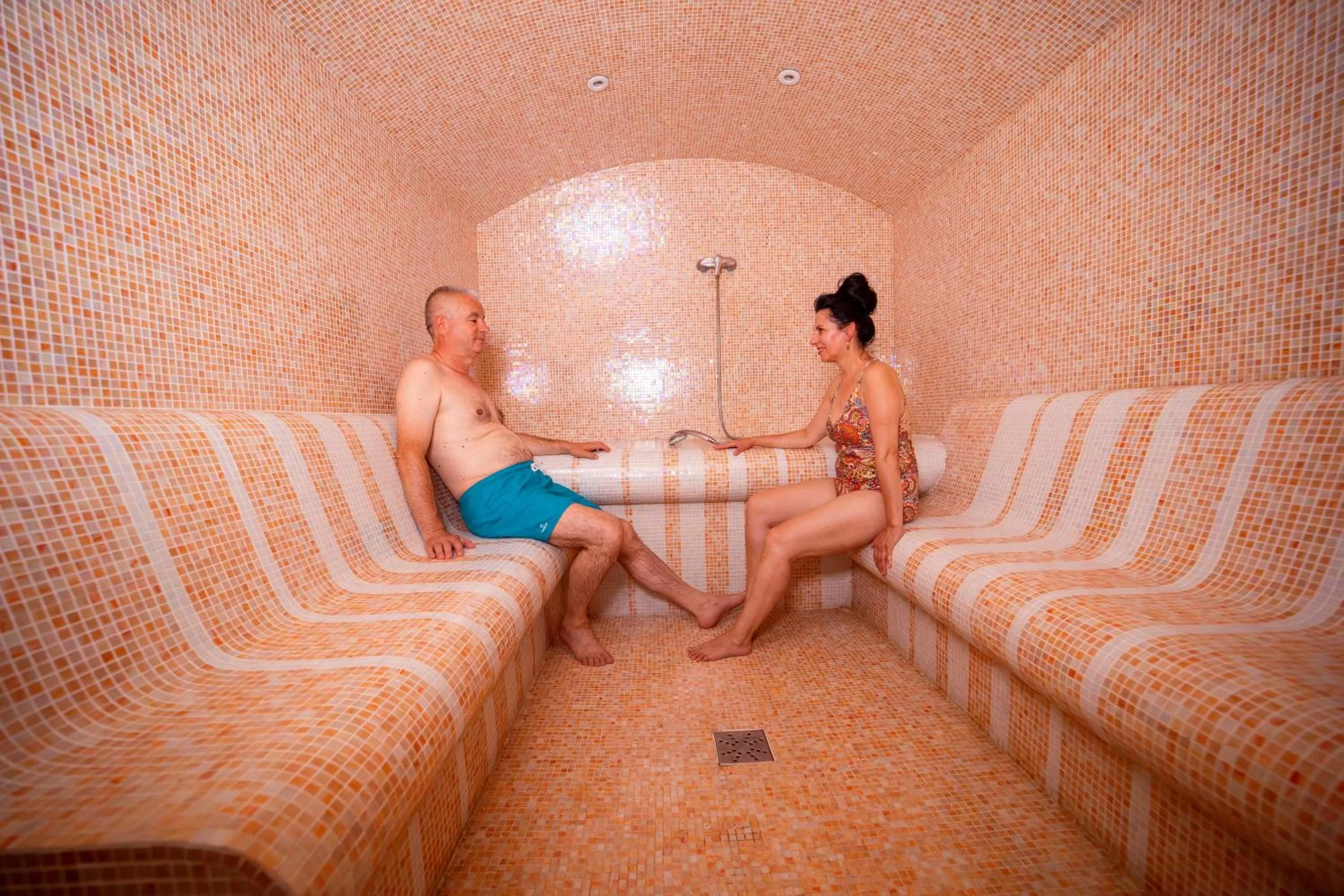 Sauna in Hotel TISA