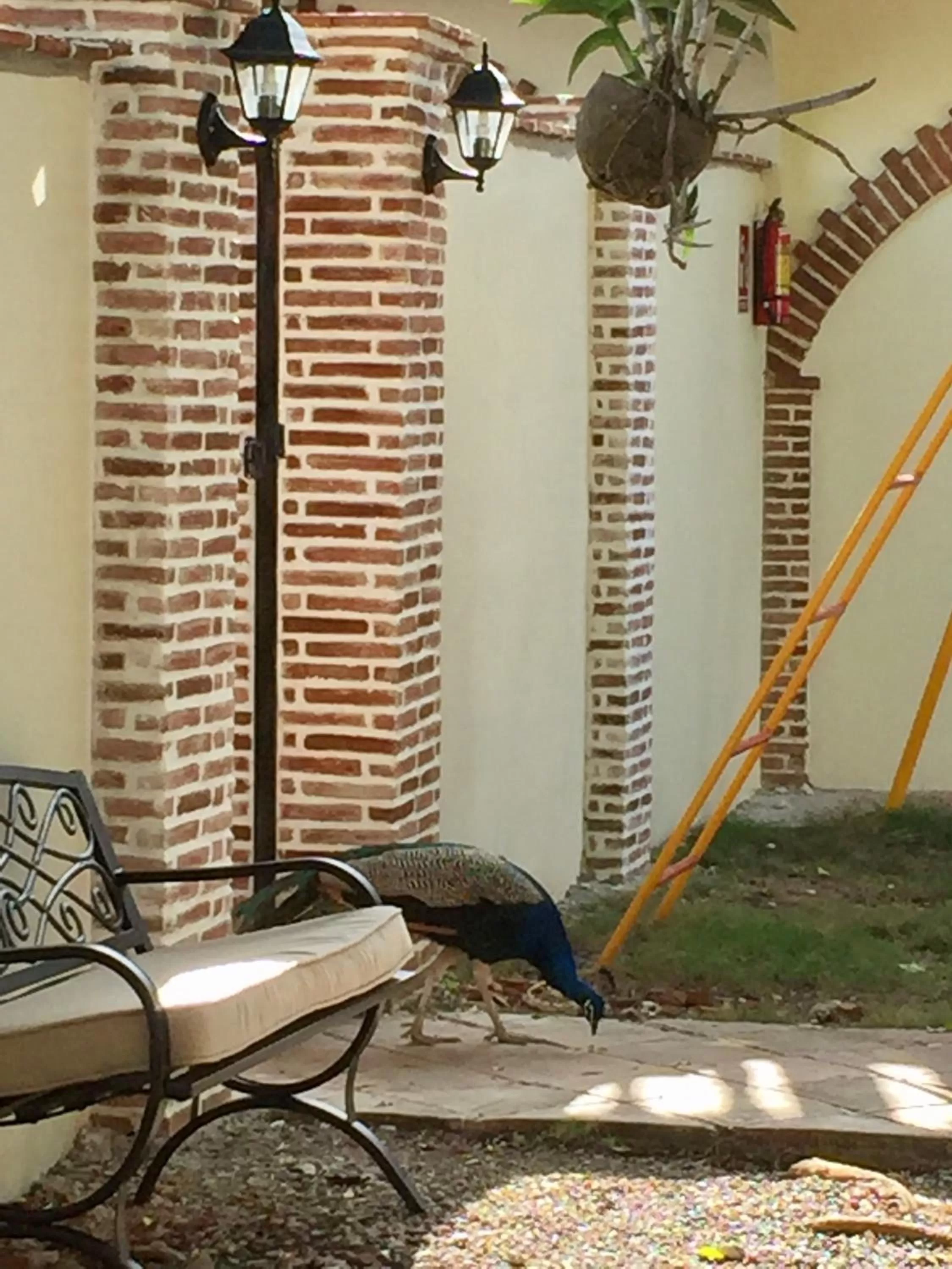 Patio in Hotel Yamilí