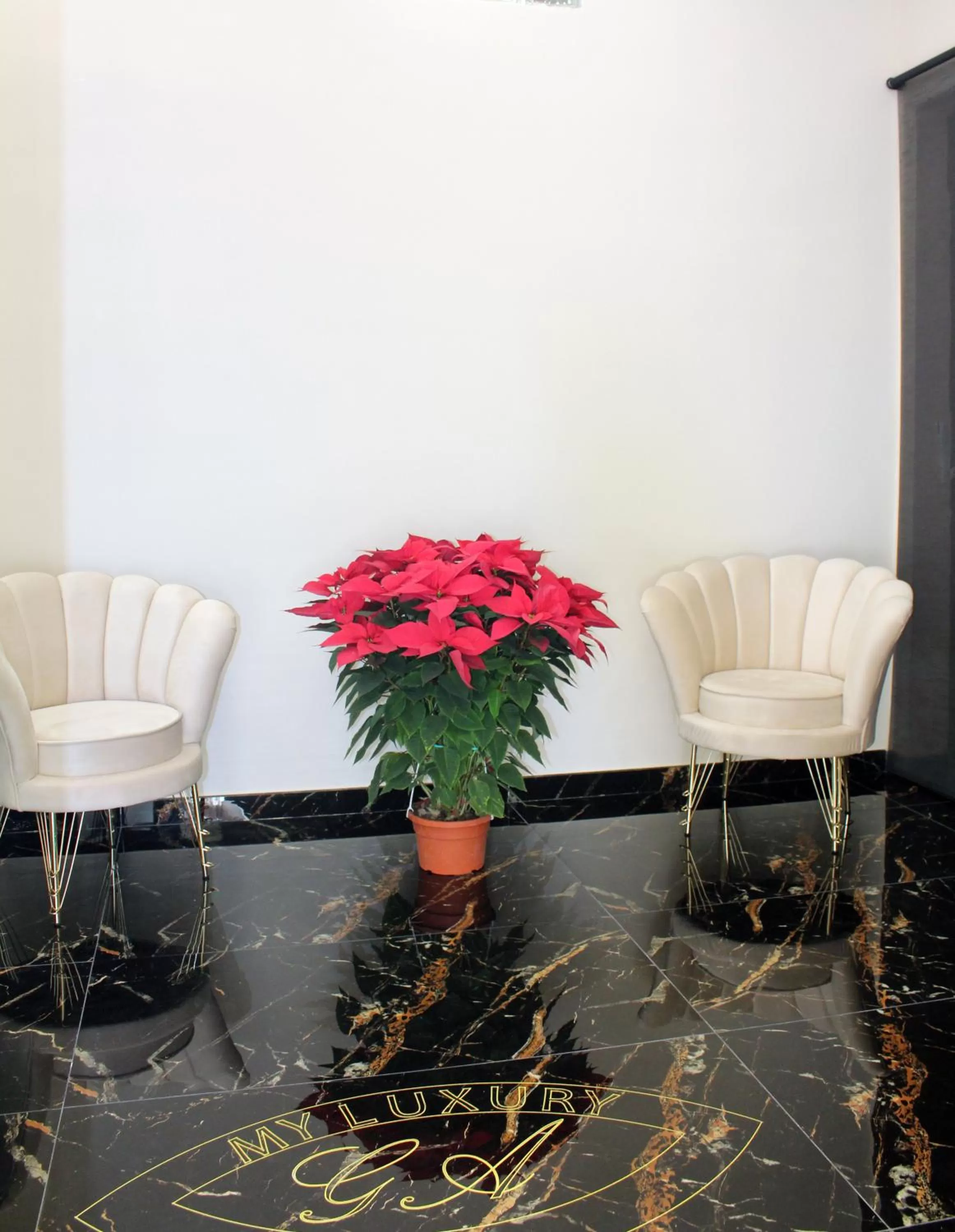 Banquet Facilities in My Luxury