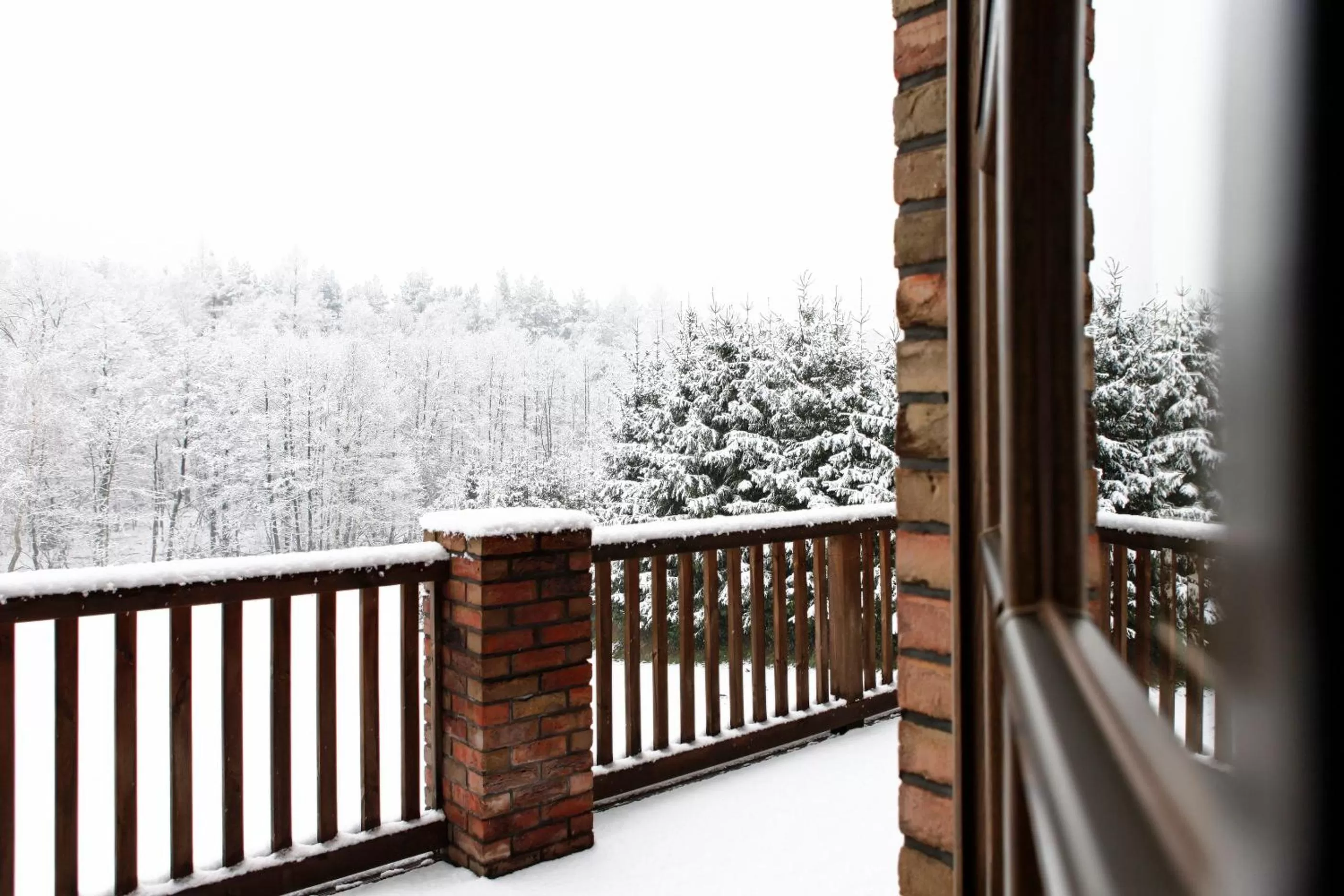 Premium Double or Twin Room in Guest house - single occupancy in Hotel Aubrecht Country Spa Resort