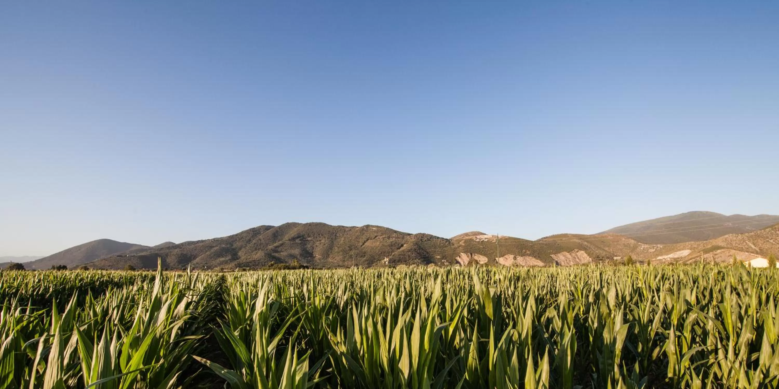 Mountain view in Cascina Canova