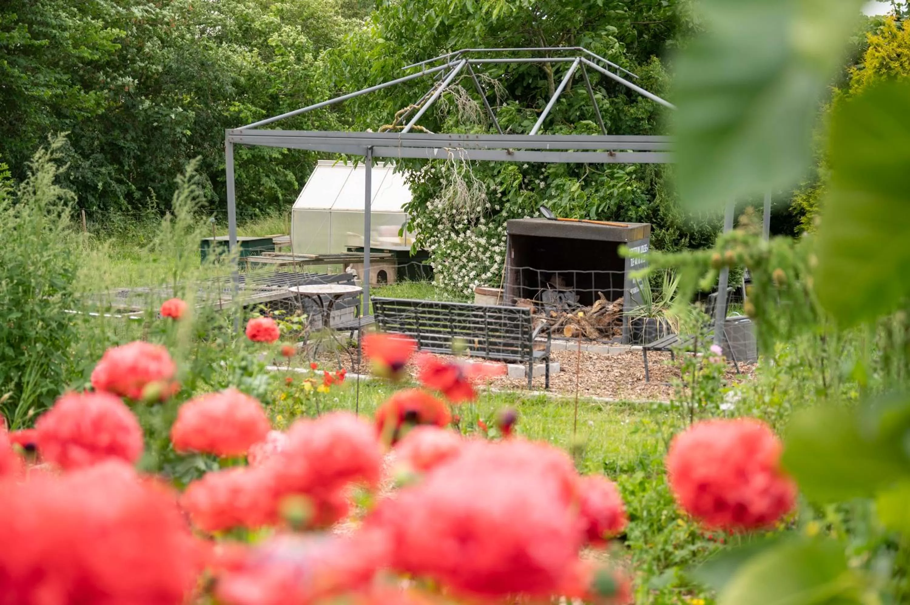 Garden view in Skortskær Bondegårdsferie