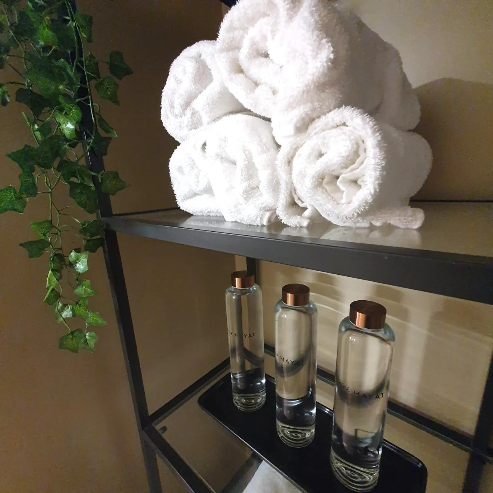 Sauna in Hotel Alpha Paris Eiffel by Patrick Hayat