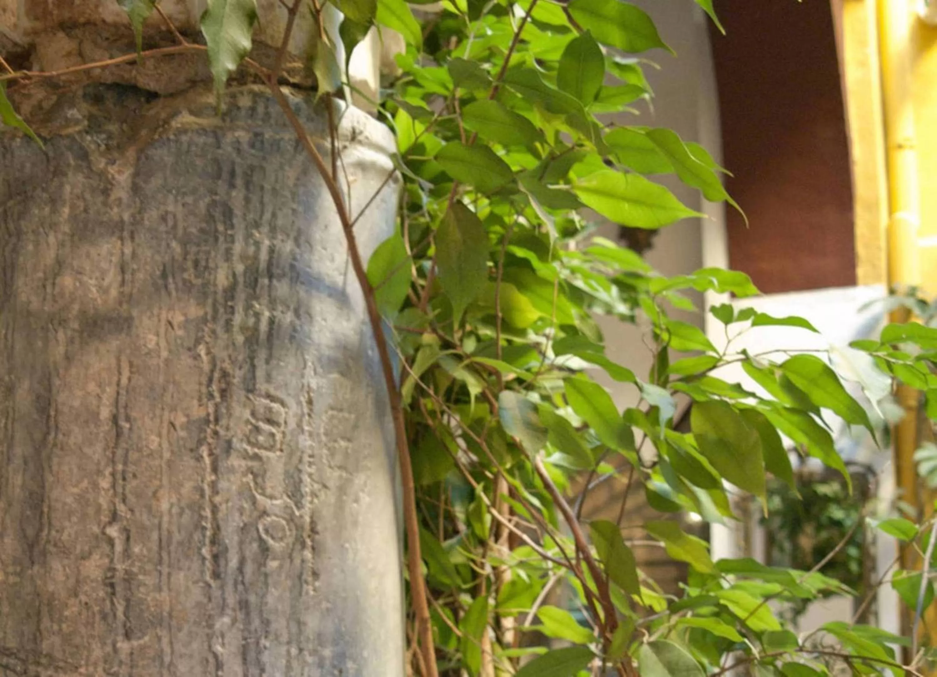 Other in Hotel Casa Museo de la Mezquita