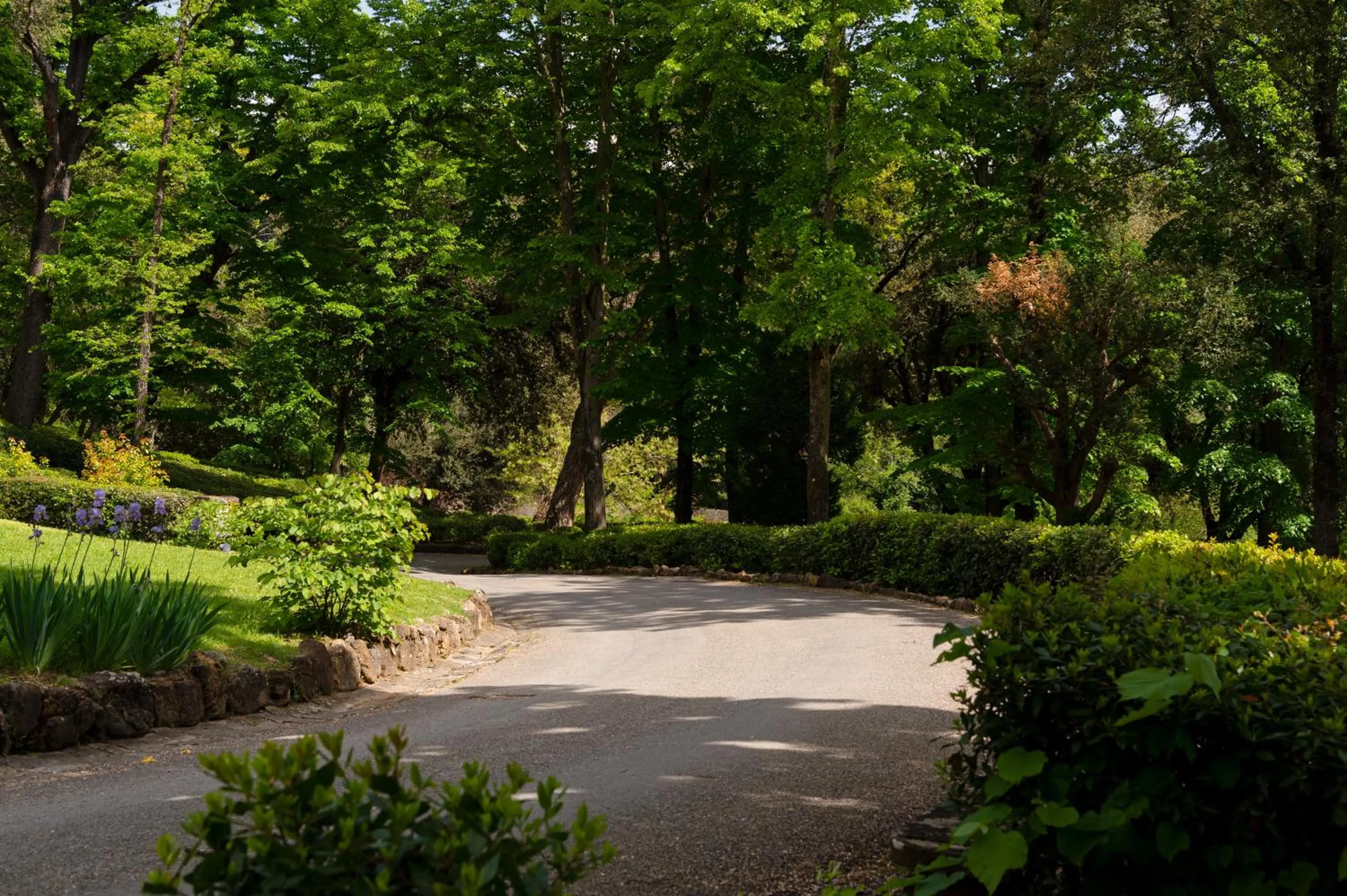 Spring in Il Salviatino Firenze