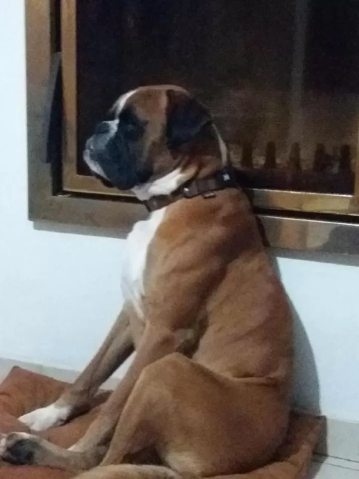 chambres d hotes ,hotel ,Secret d'une Nuit a vicq prės de onnaing,avec piscine