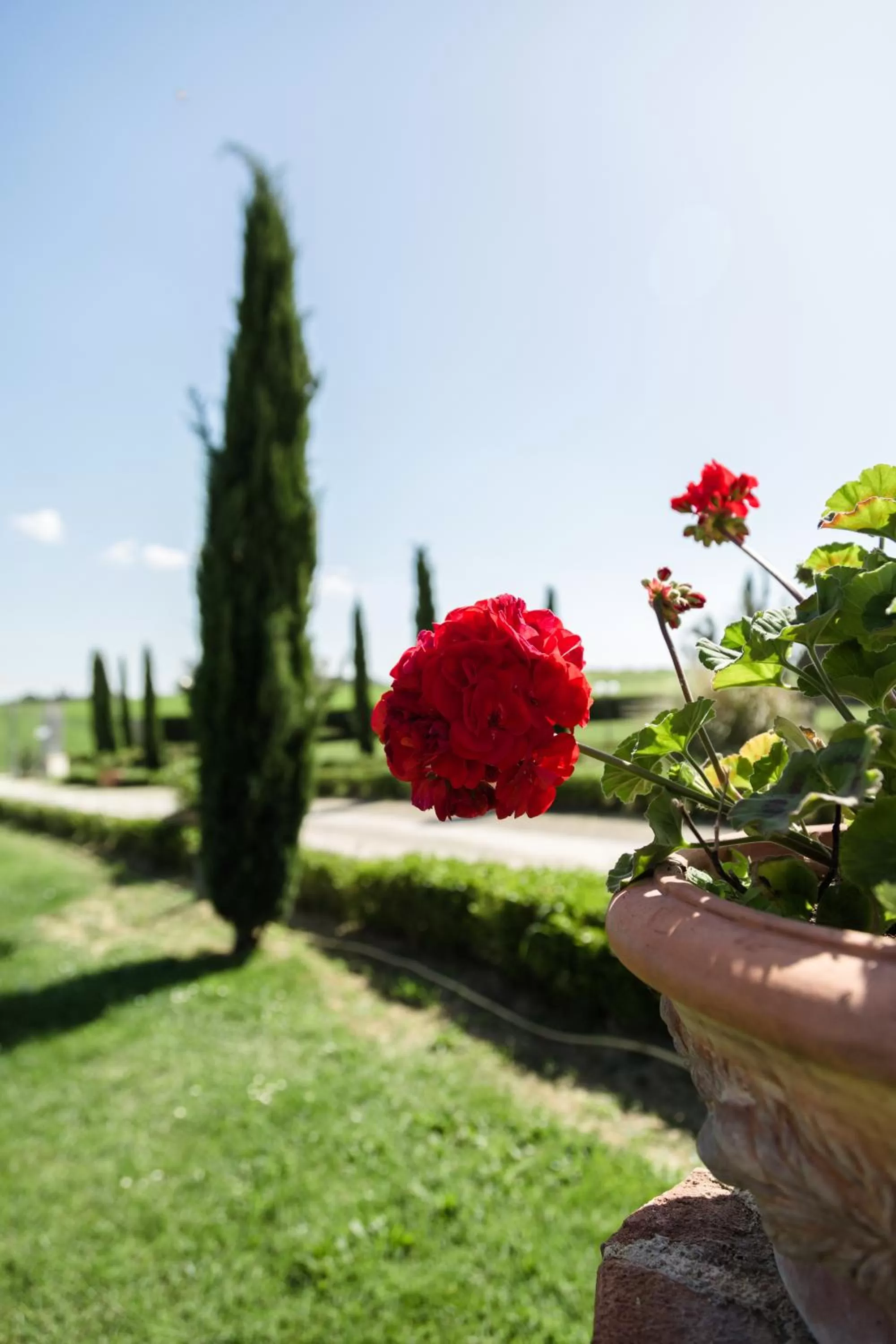 Garden in Podere San Giuseppe
