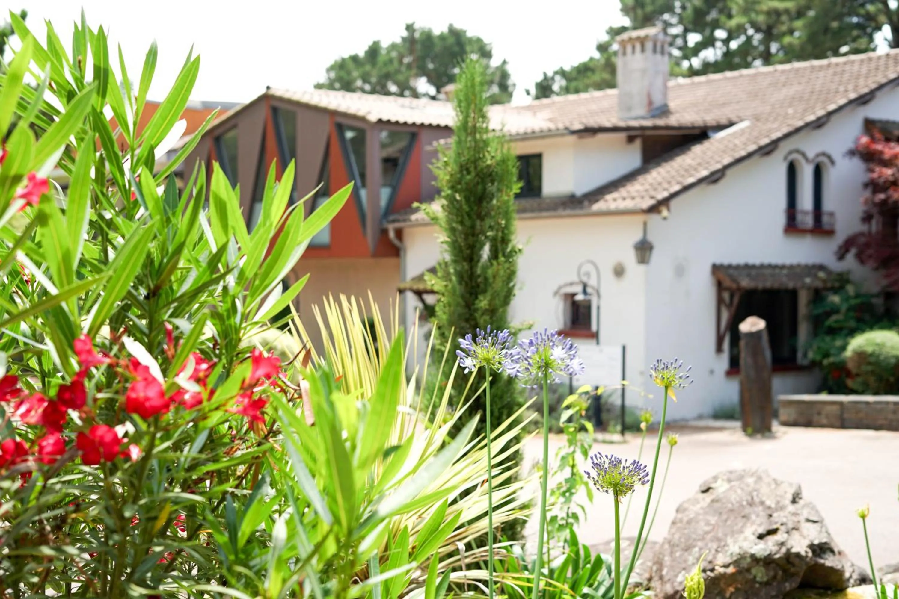 Property building in Quintessia