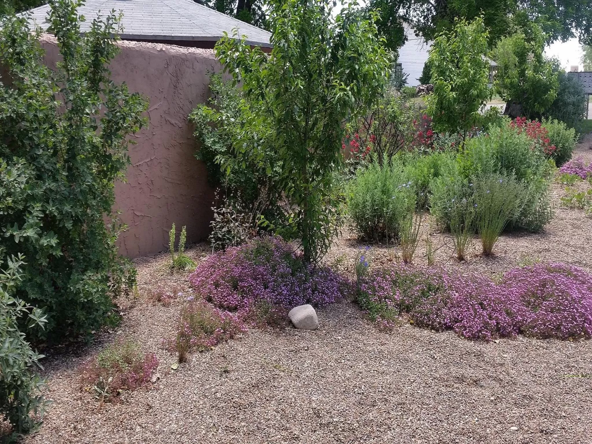 Garden in Stone Lizard Lodge